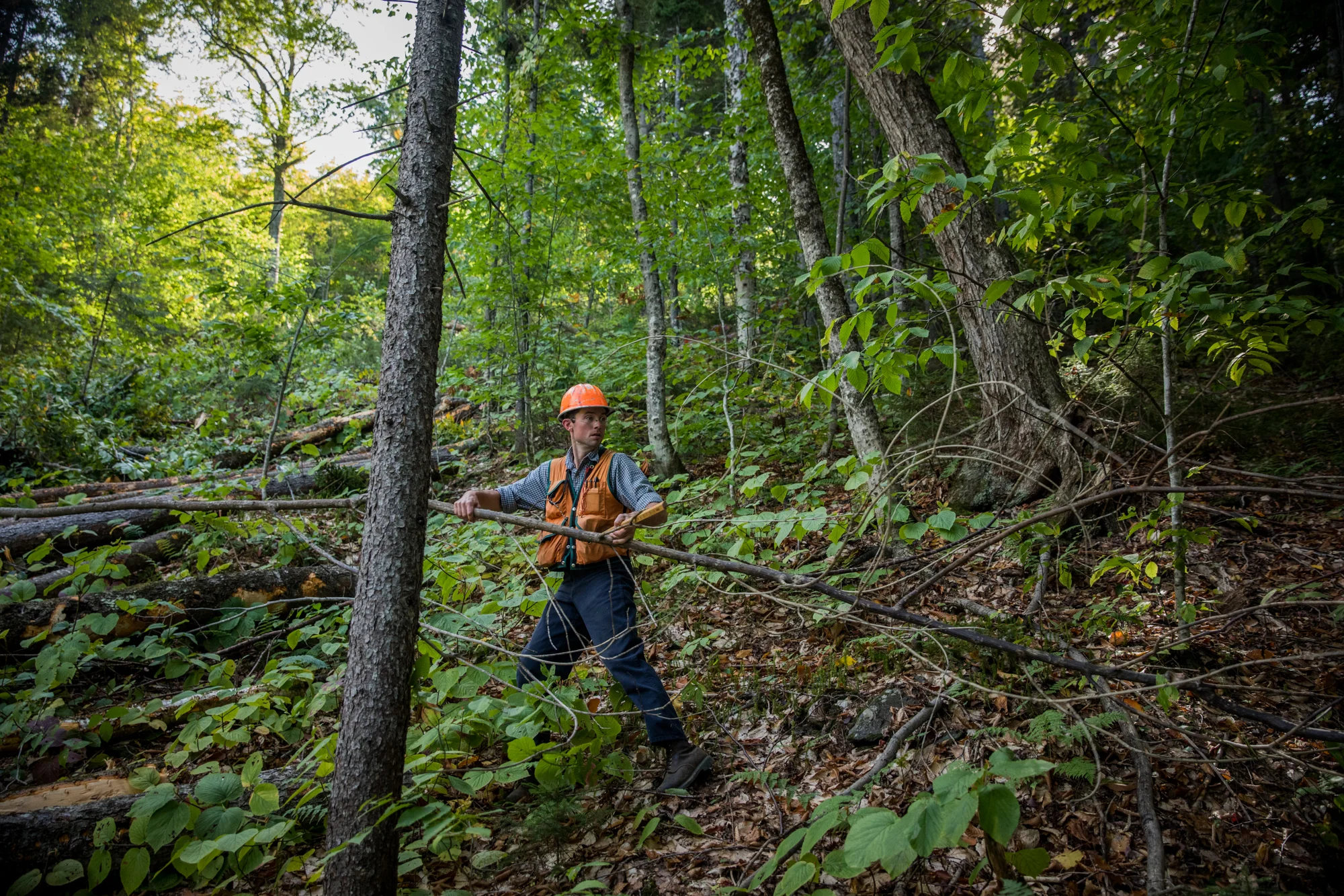 LOG_MaineMountain_WebSiteGallery_FEB2018_042.jpg