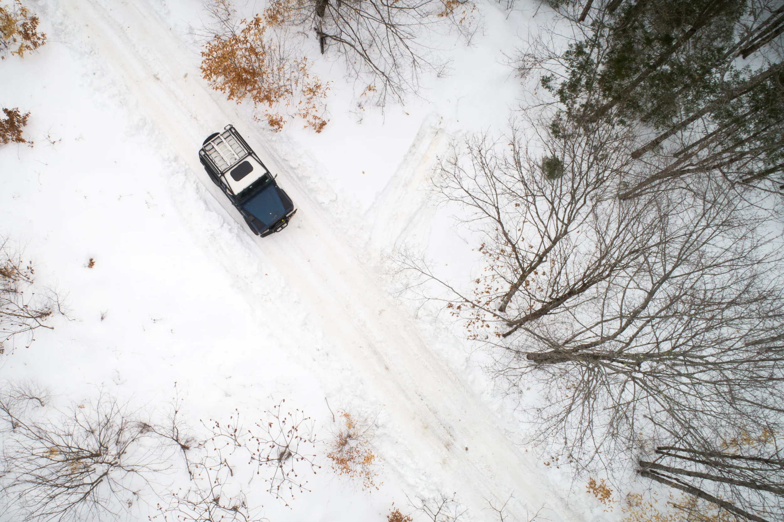 LOG_WinterRomp_ANelson_006.jpg