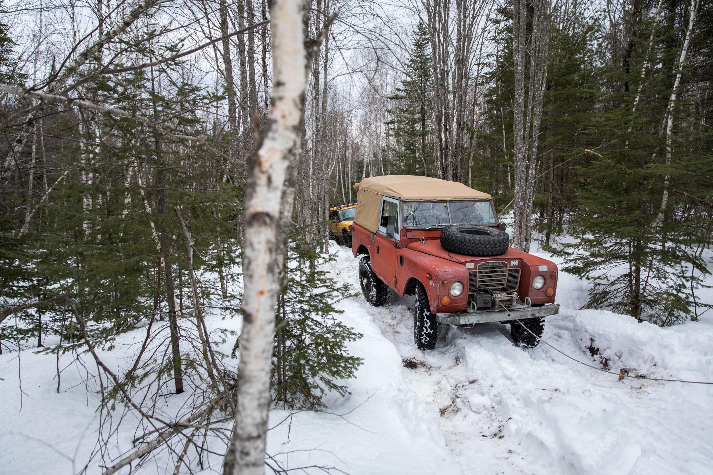 LOG_WinterRomp_ANelson_010.jpg