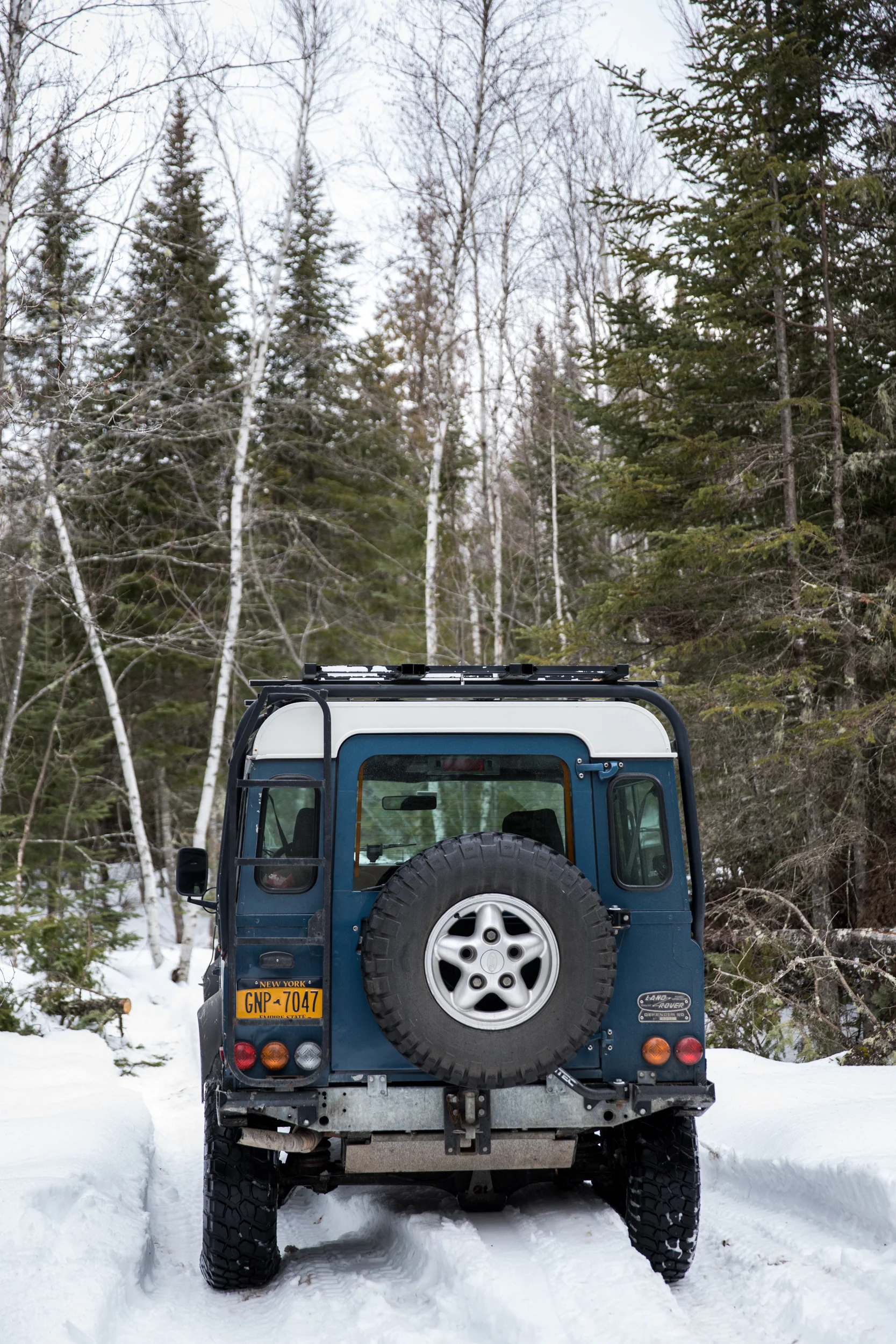 LOG_WinterRomp_ANelson_013.jpg