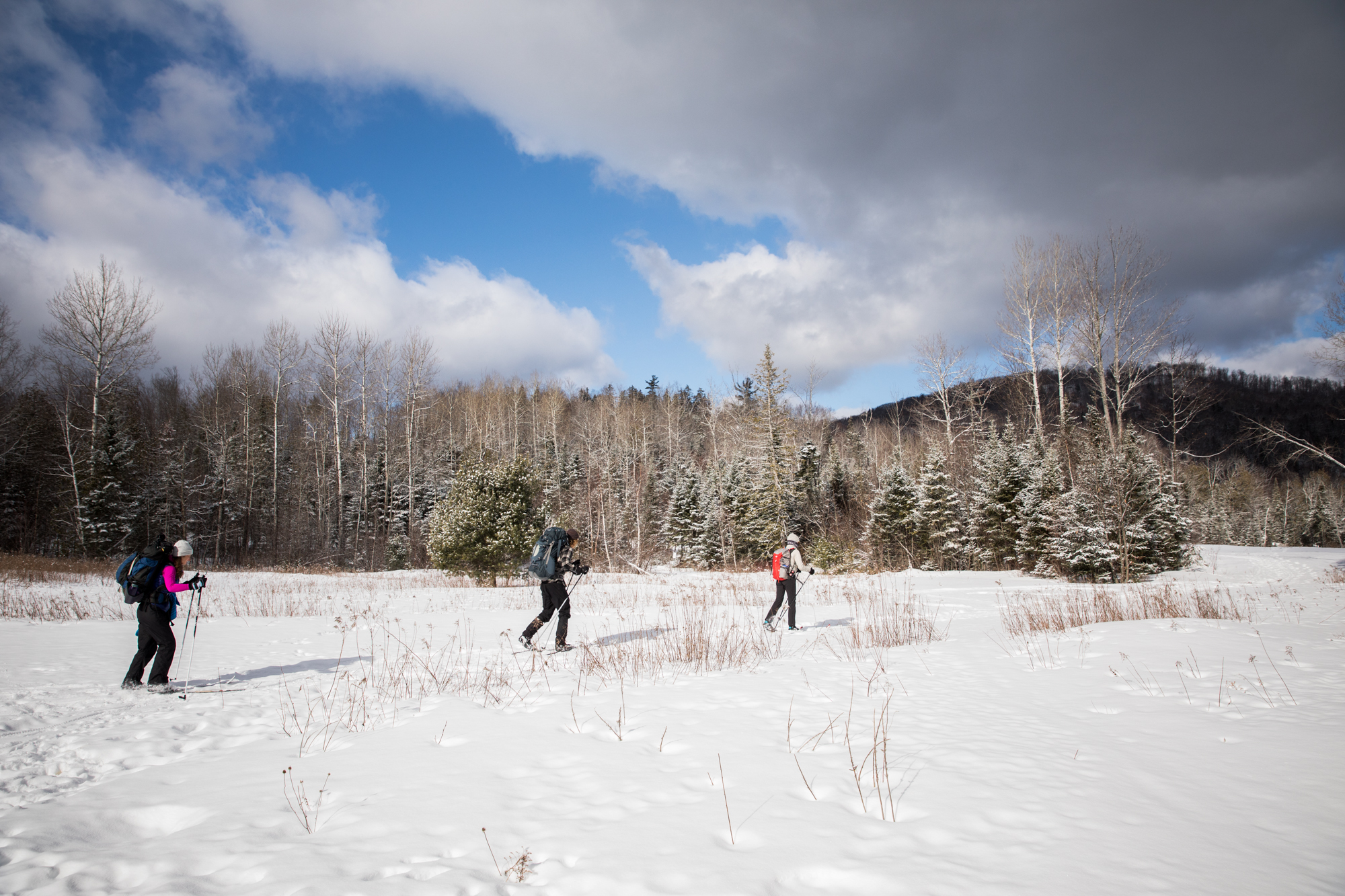 LOG_Website_2018_SpecialGalleries_MaineHuts_010.jpg