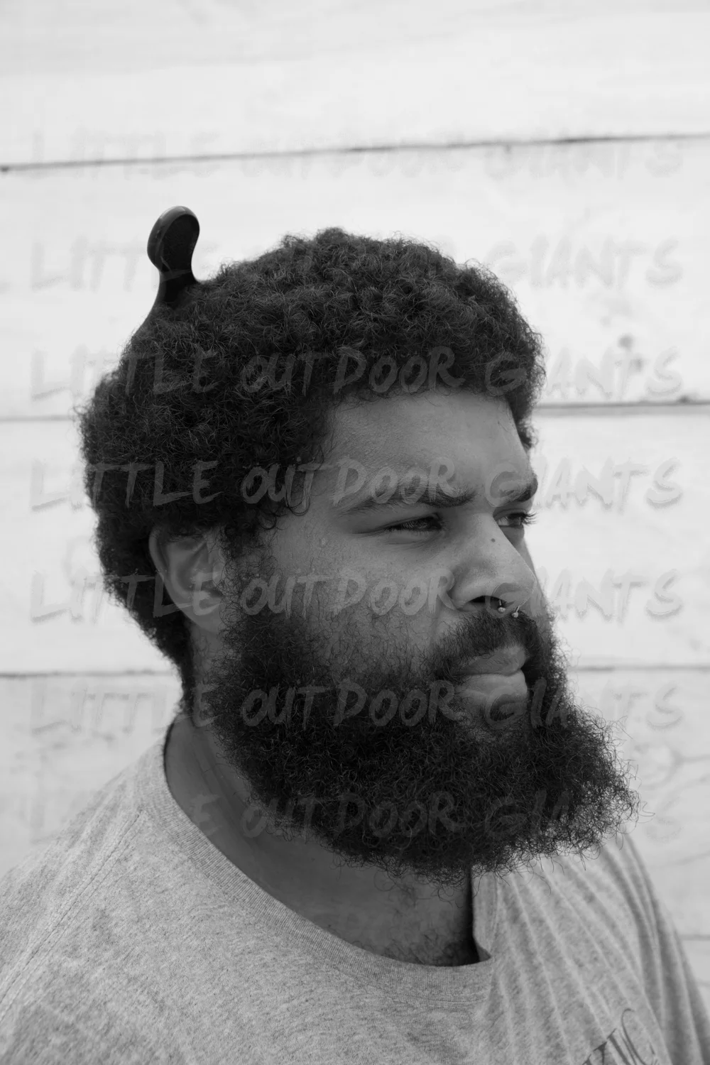 Folks_Fest_0826.jpg