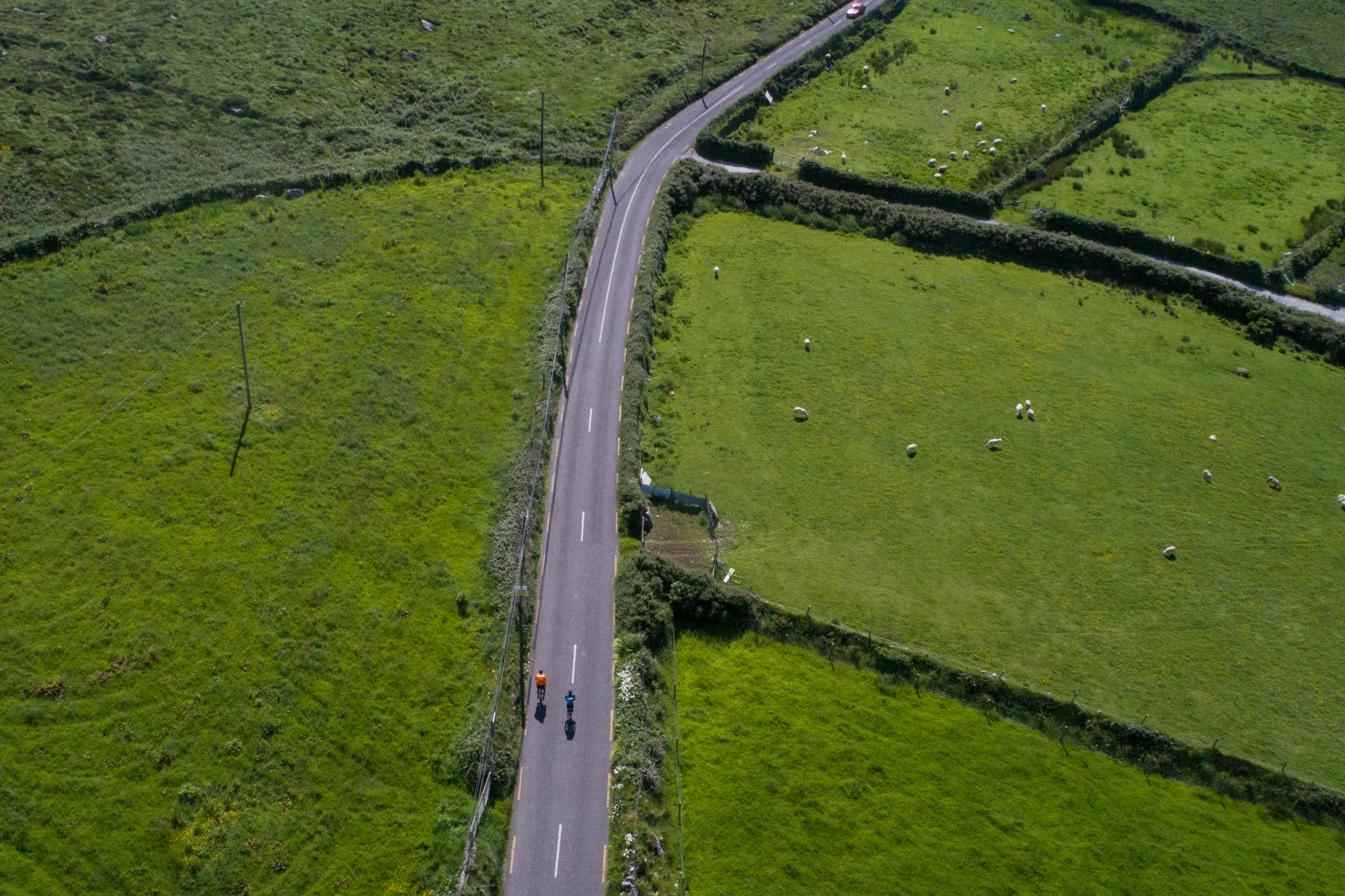 LOG_Ireland_Website_01_039.jpg