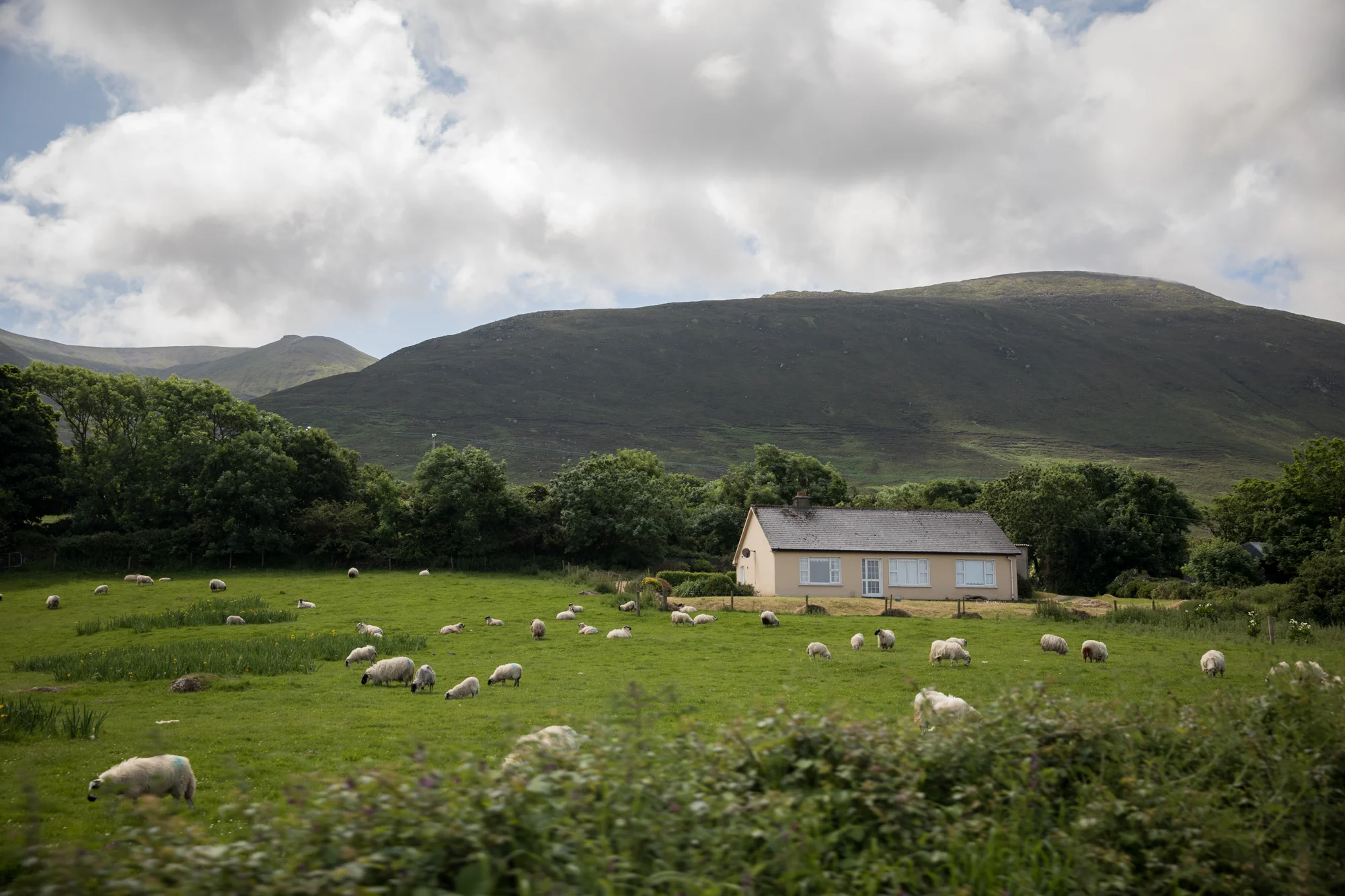 LOG_Ireland_Website_01_058.jpg
