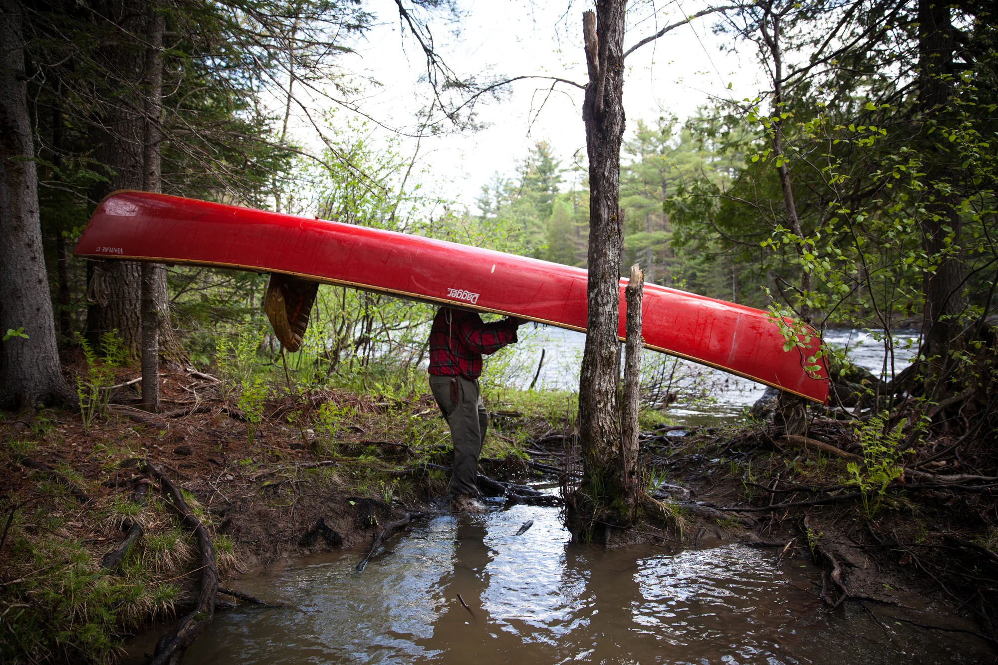 LOG_Katahdin_2018Pull_134.jpg