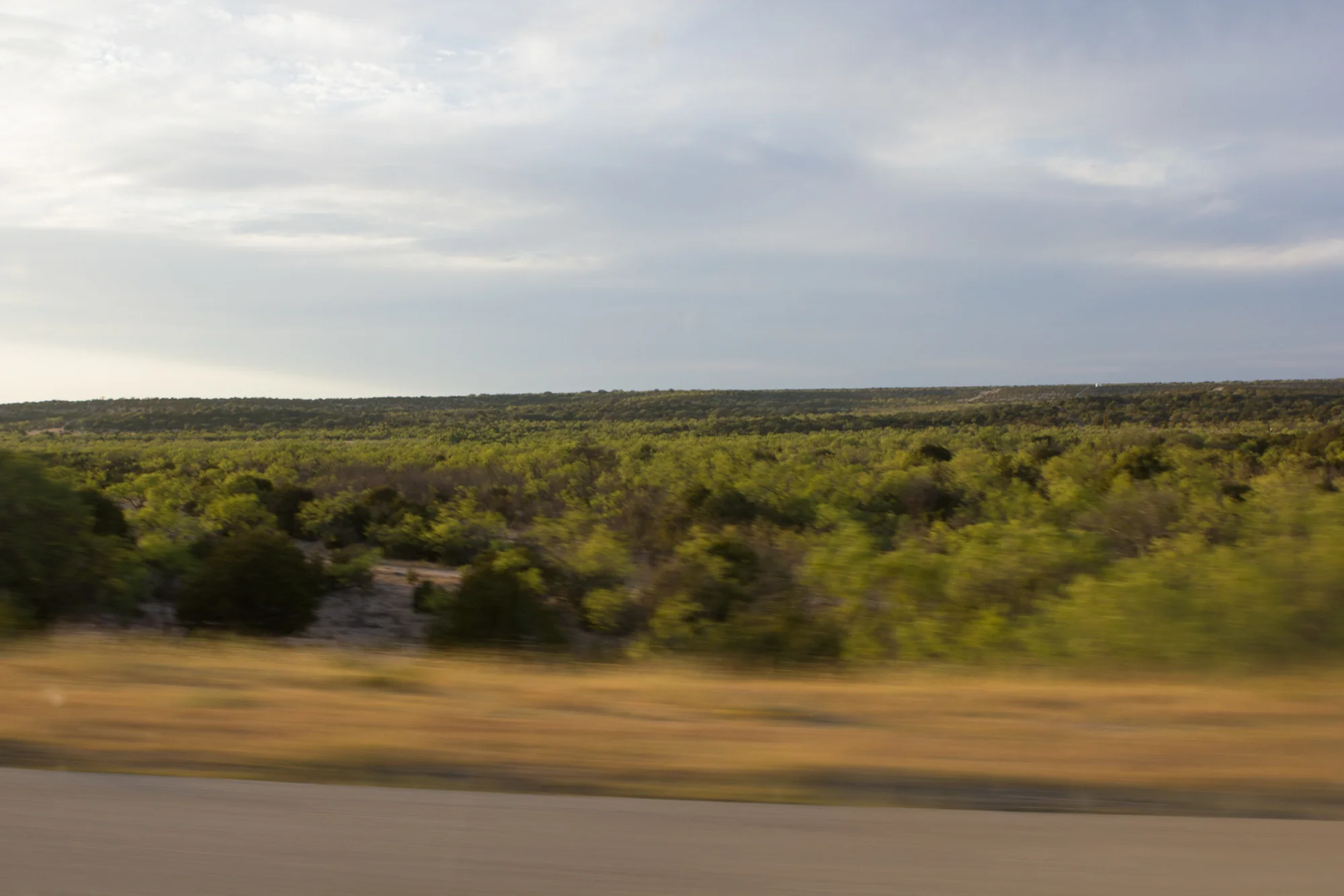 LOG_TX_0014.jpg