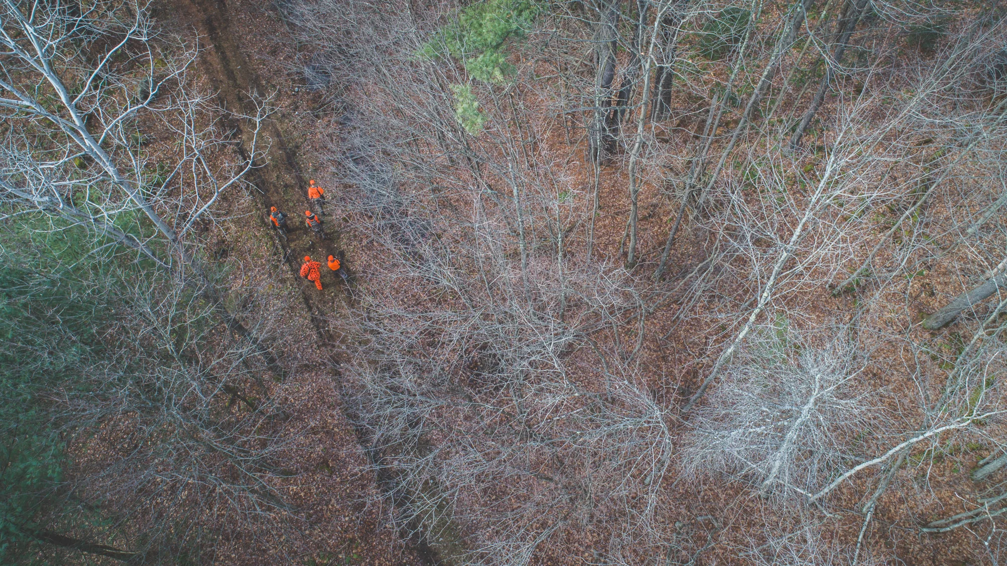 LOG_Website_OutdoorLife_0011.jpg