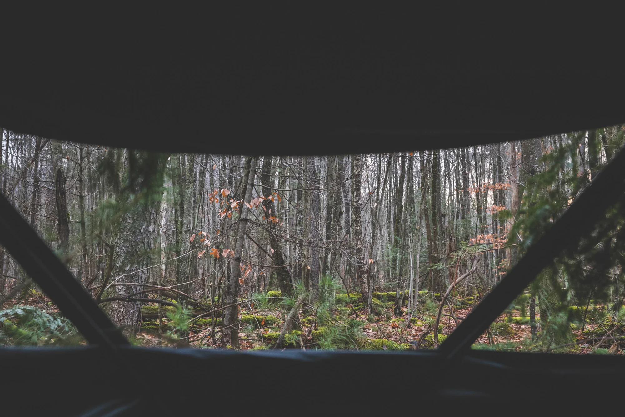 LOG_Website_OutdoorLife_0015.jpg