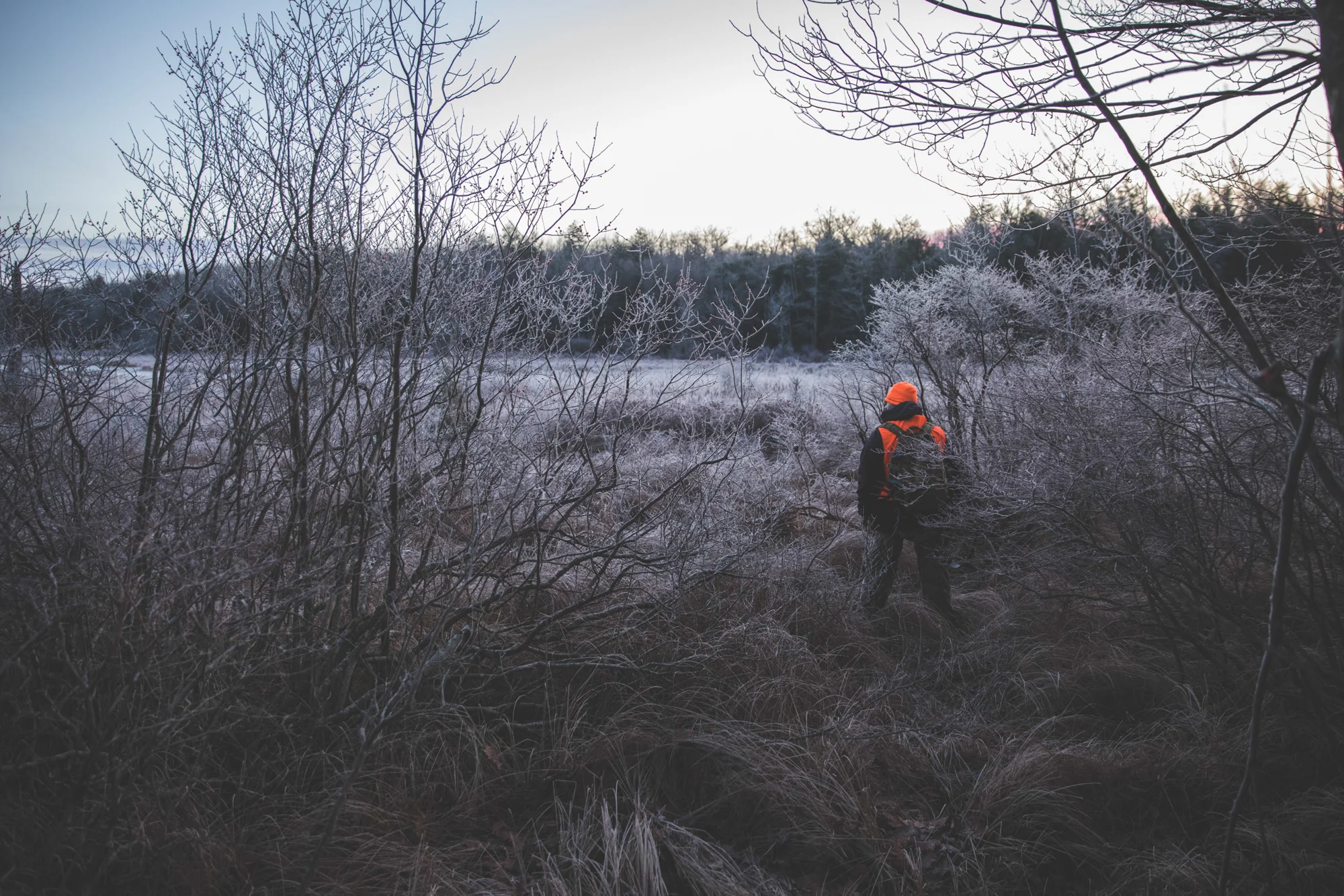 LOG_Website_OutdoorLife_0024.jpg