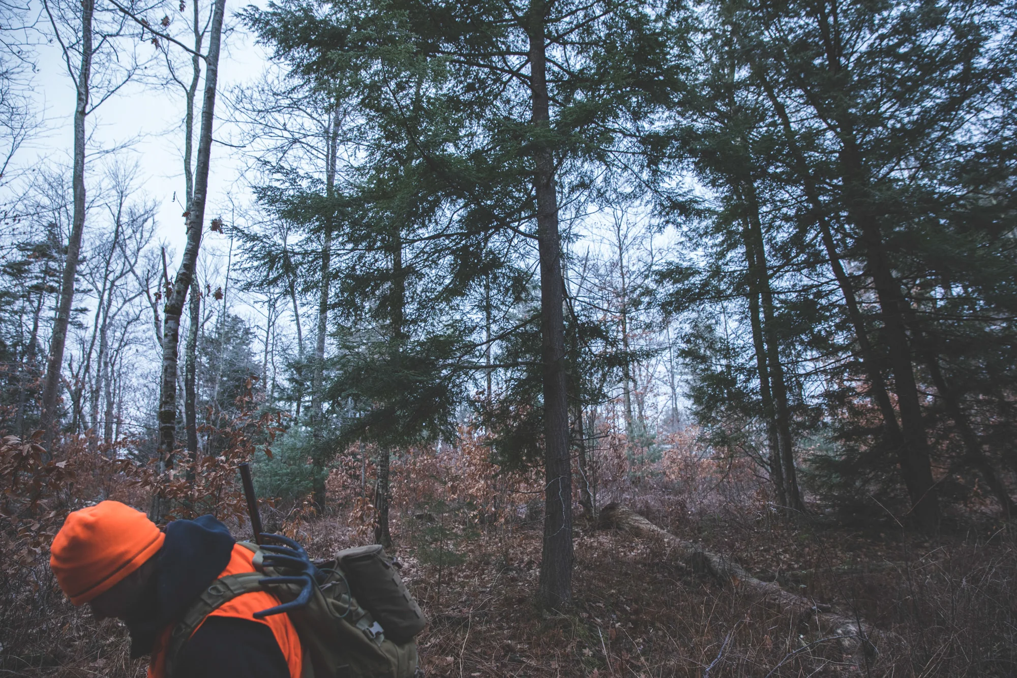 LOG_Website_OutdoorLife_0026.jpg