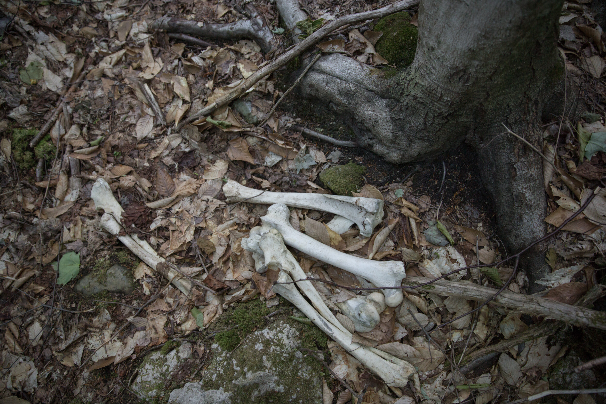 LOG_KWWNM_073.jpg