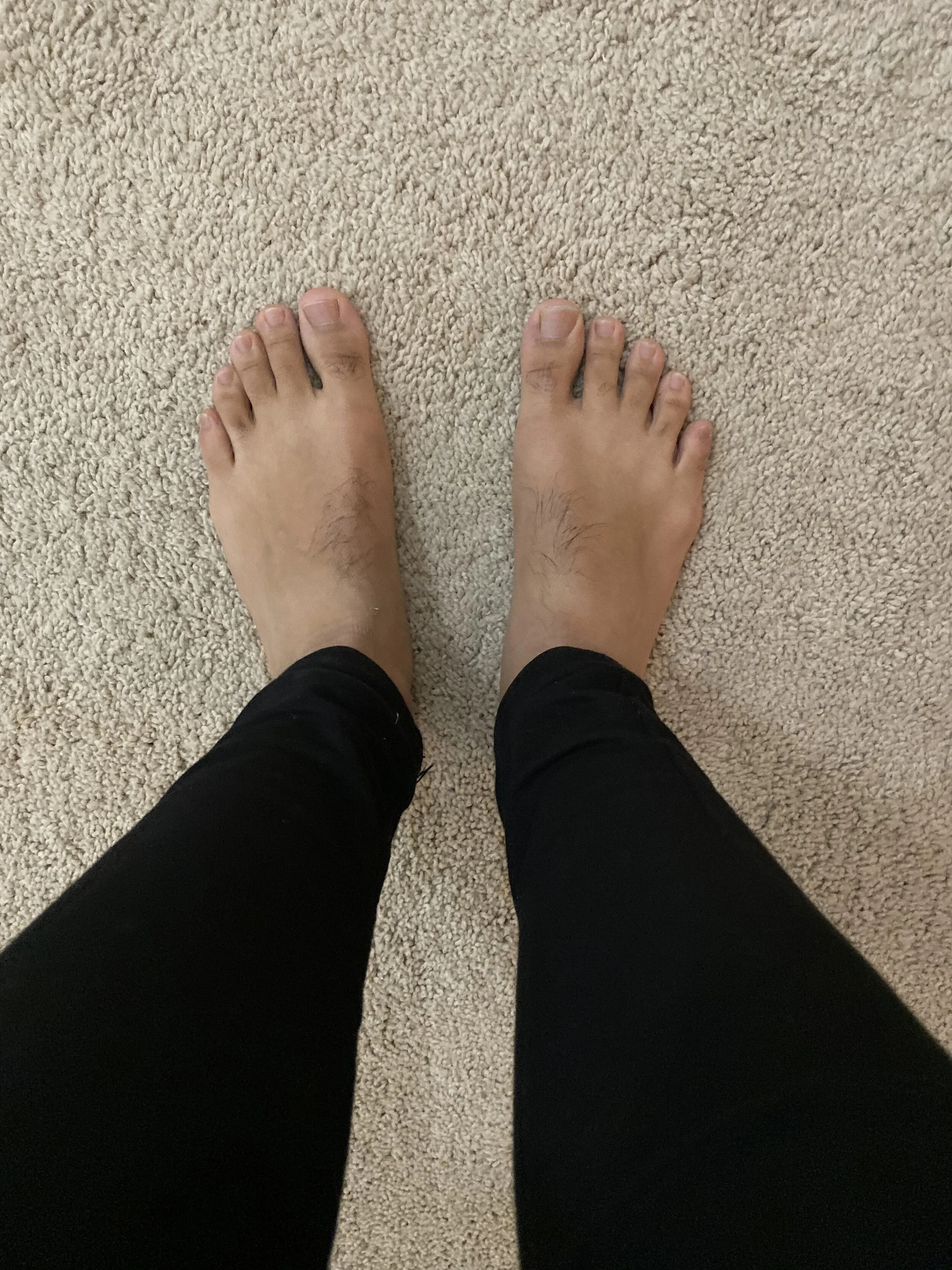 S. Olfatmanesh-2.jpeg