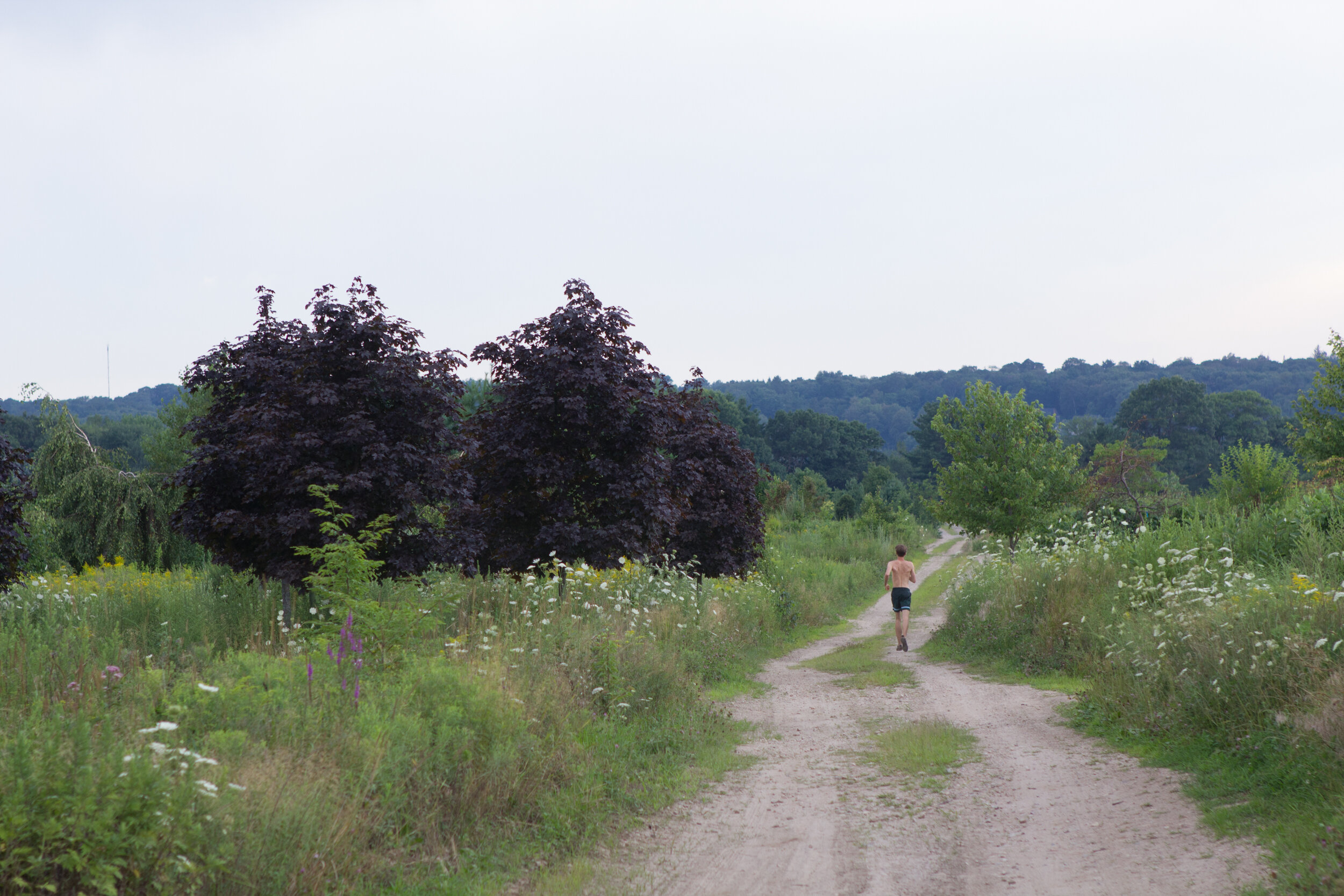 LOG_Stock_Galleries_Summer_032.jpg