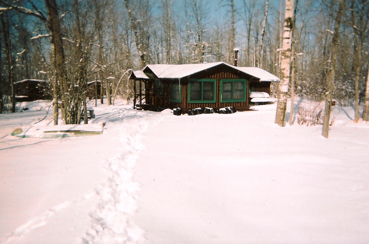 cabin+winter+2+copy.jpg