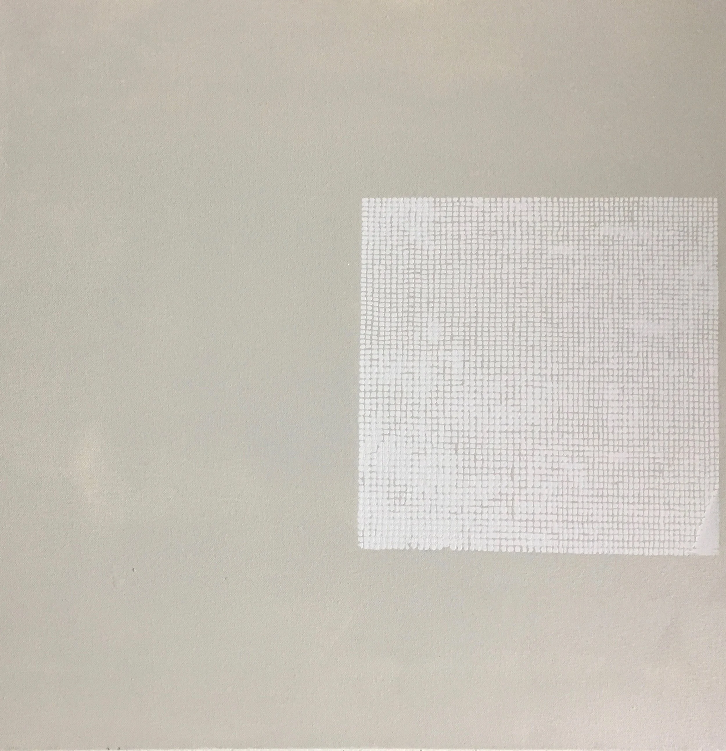 13.Manheimer_Mesh 2016, 24%22x24%22, acrylic on canvas.jpg