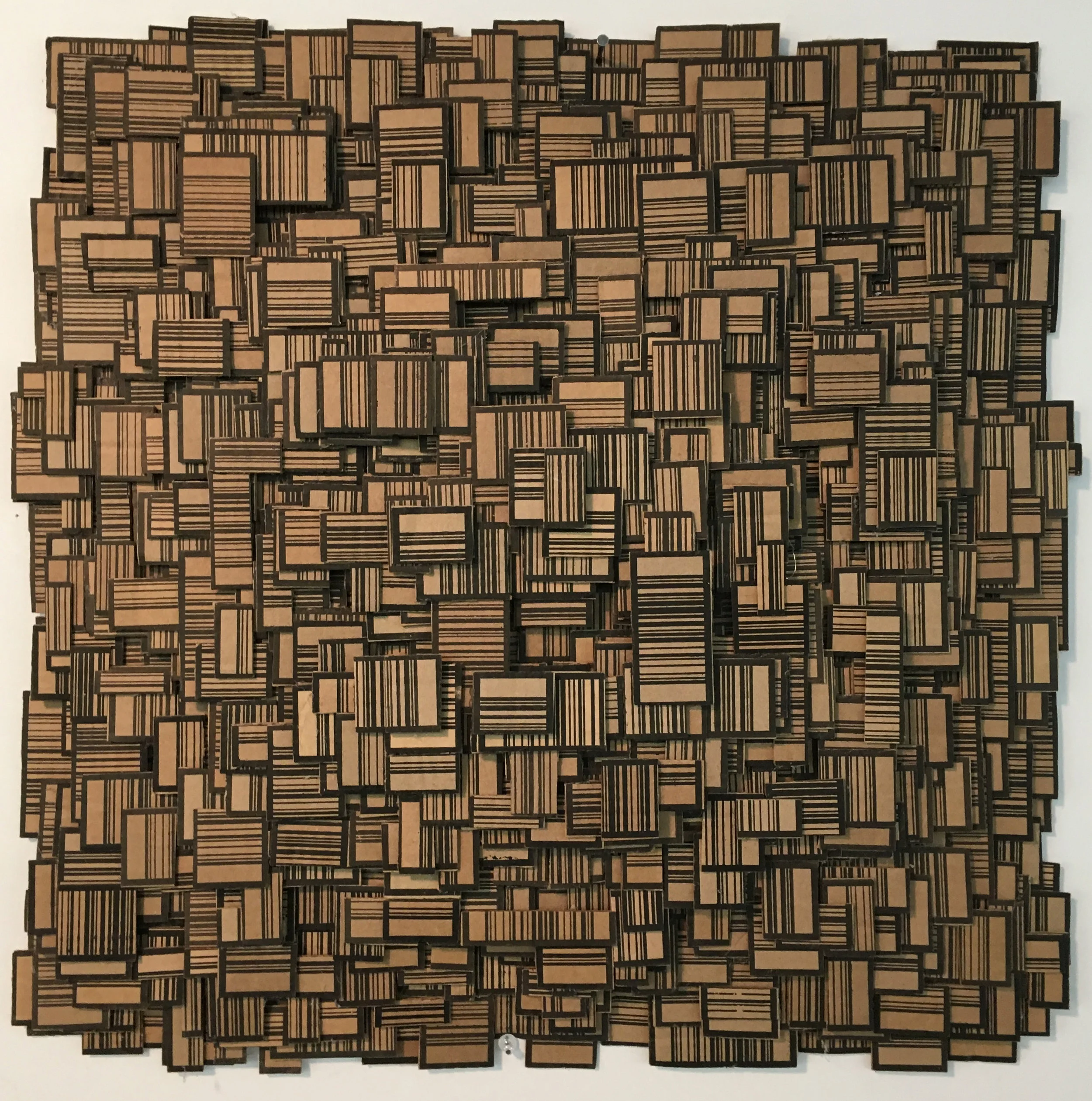 BarCodes Assemblage.JPG