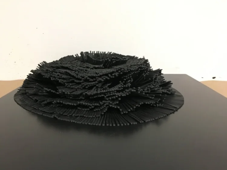 fringe element.jpg