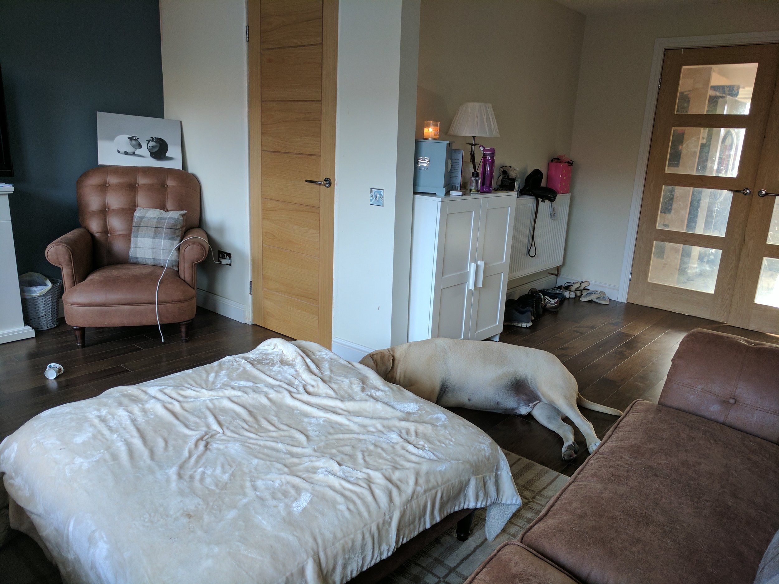 July 2017 (After)