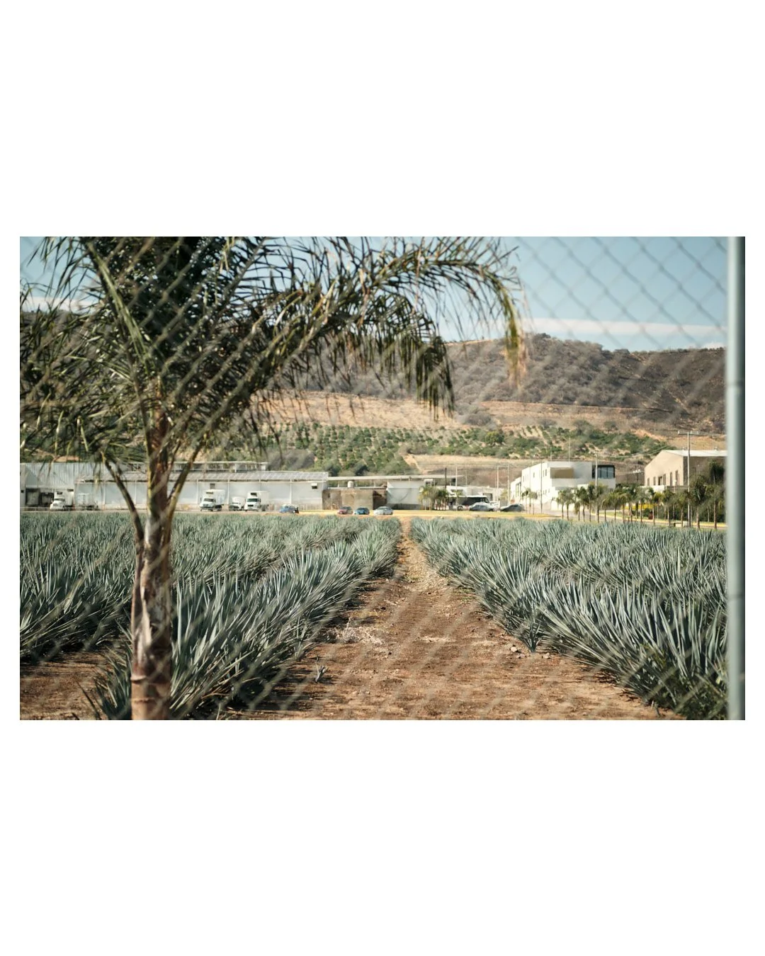 Untitled-22.jpg