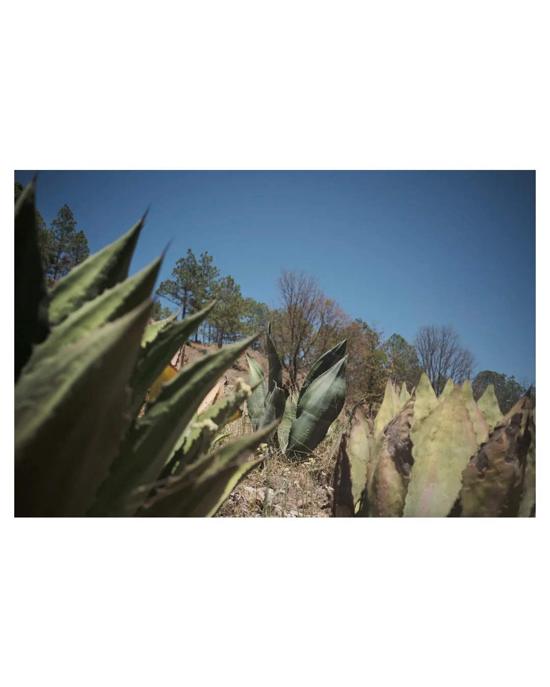 Untitled-17.jpg