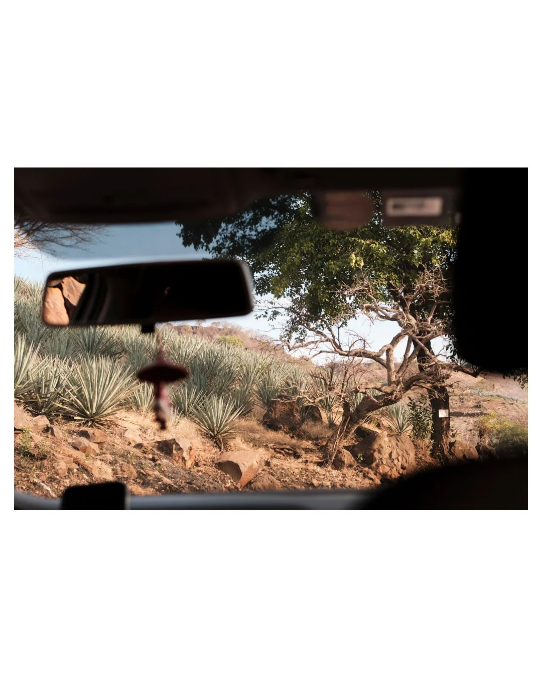 Untitled-43.jpg