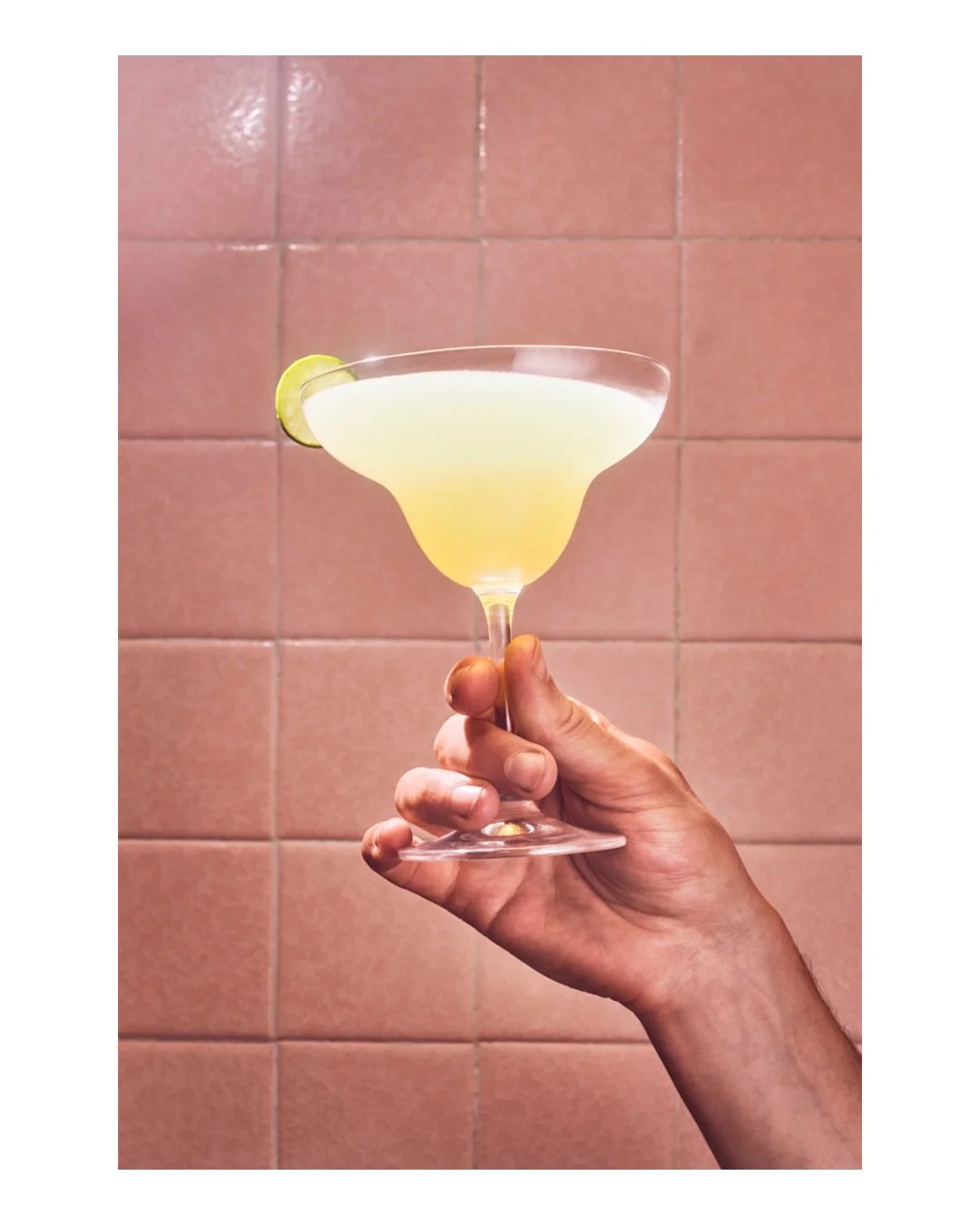 Agave-3.jpg