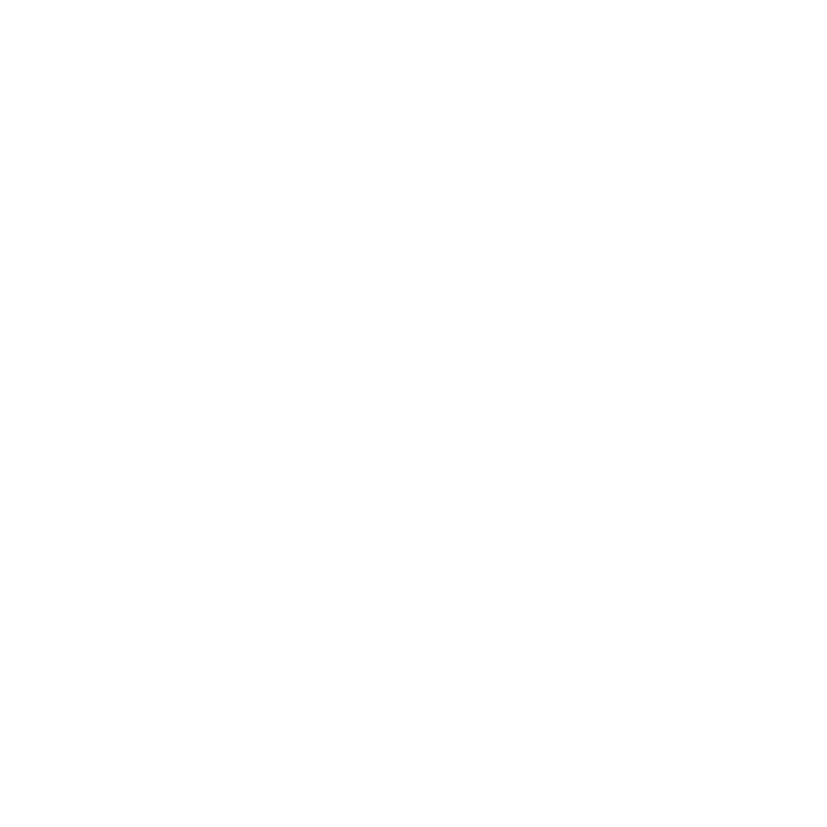 YoungLiars