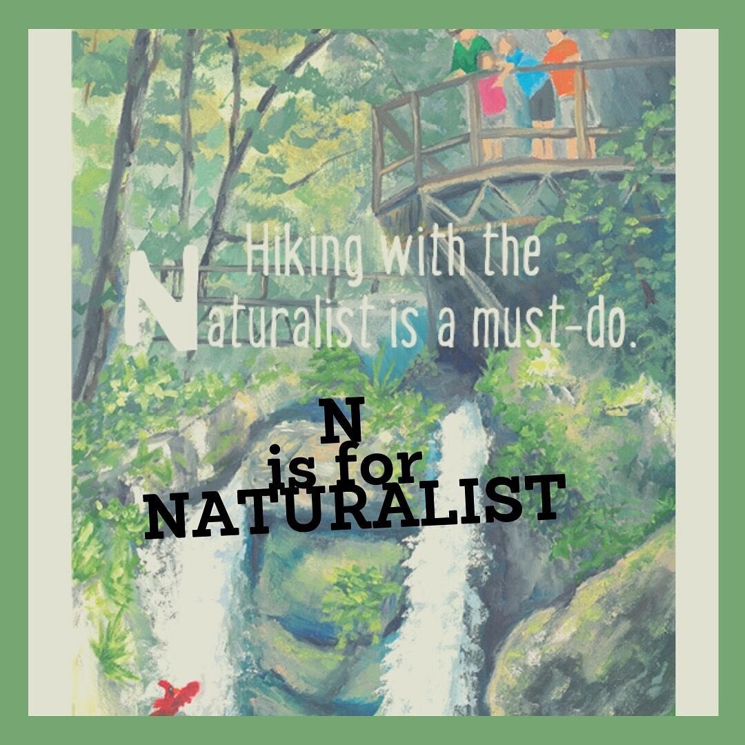 N is for NATURALIST!  Do you love to hike in the summer? Have you ever been hiking with a Naturalist?  Tag us in all your A to Z Summer Fun!  @omnihomestead @courtneysievers.paintings @yinashville @parnassusbooks @booknofurther @circa.design  #summer