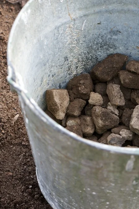 Rocks in a Bucket