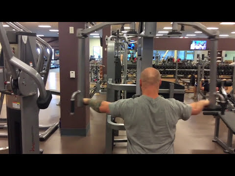 Hammer Rear Deltoid Fly