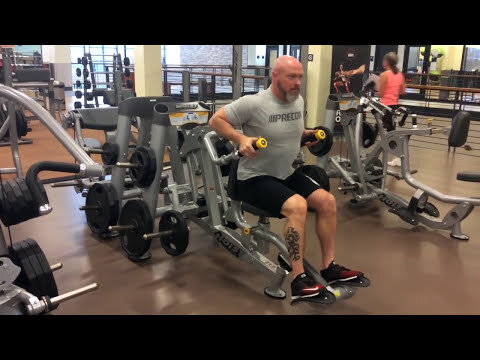 Hoist plate-loaded Seated Dip