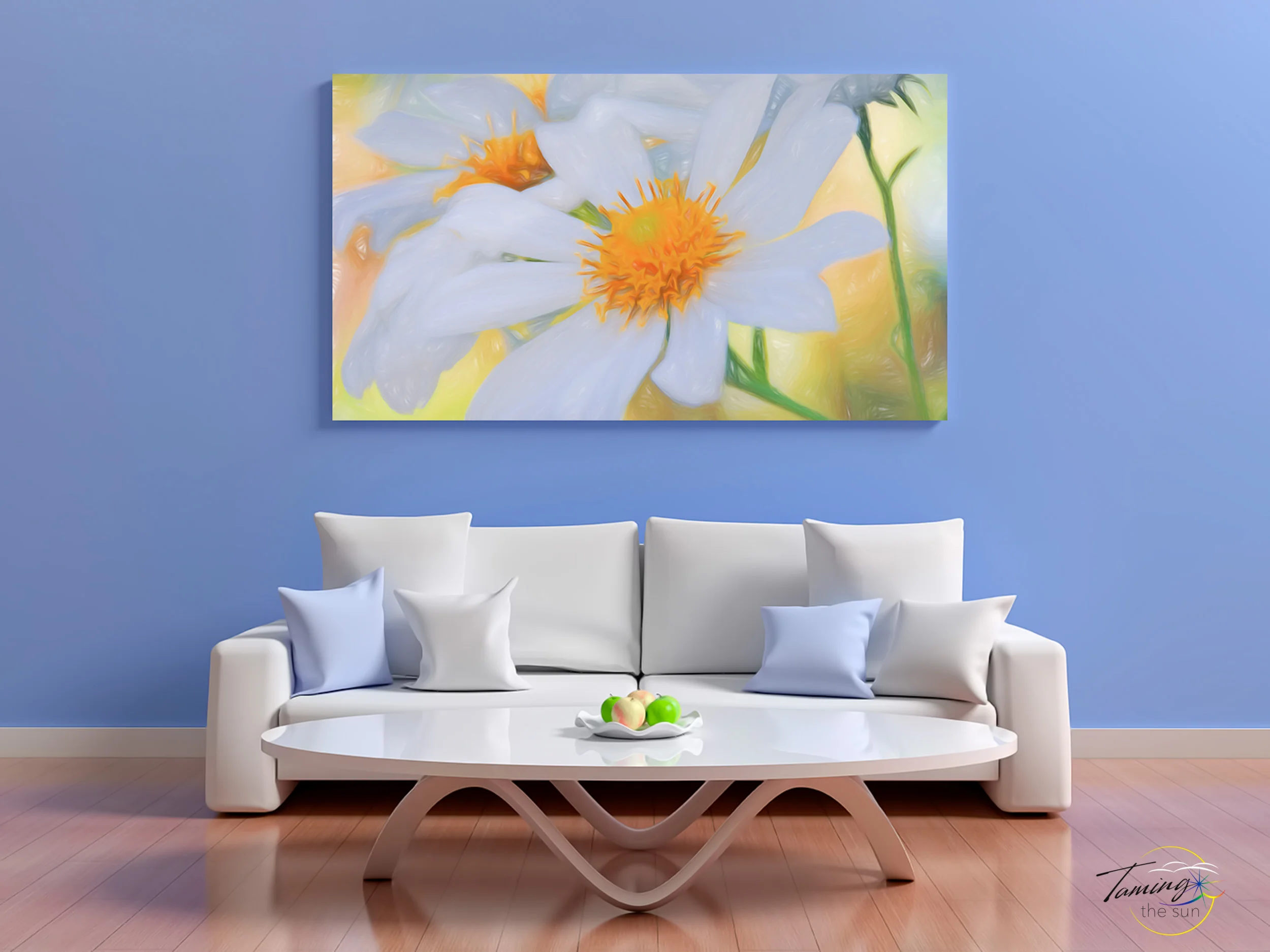 Garden Daisy