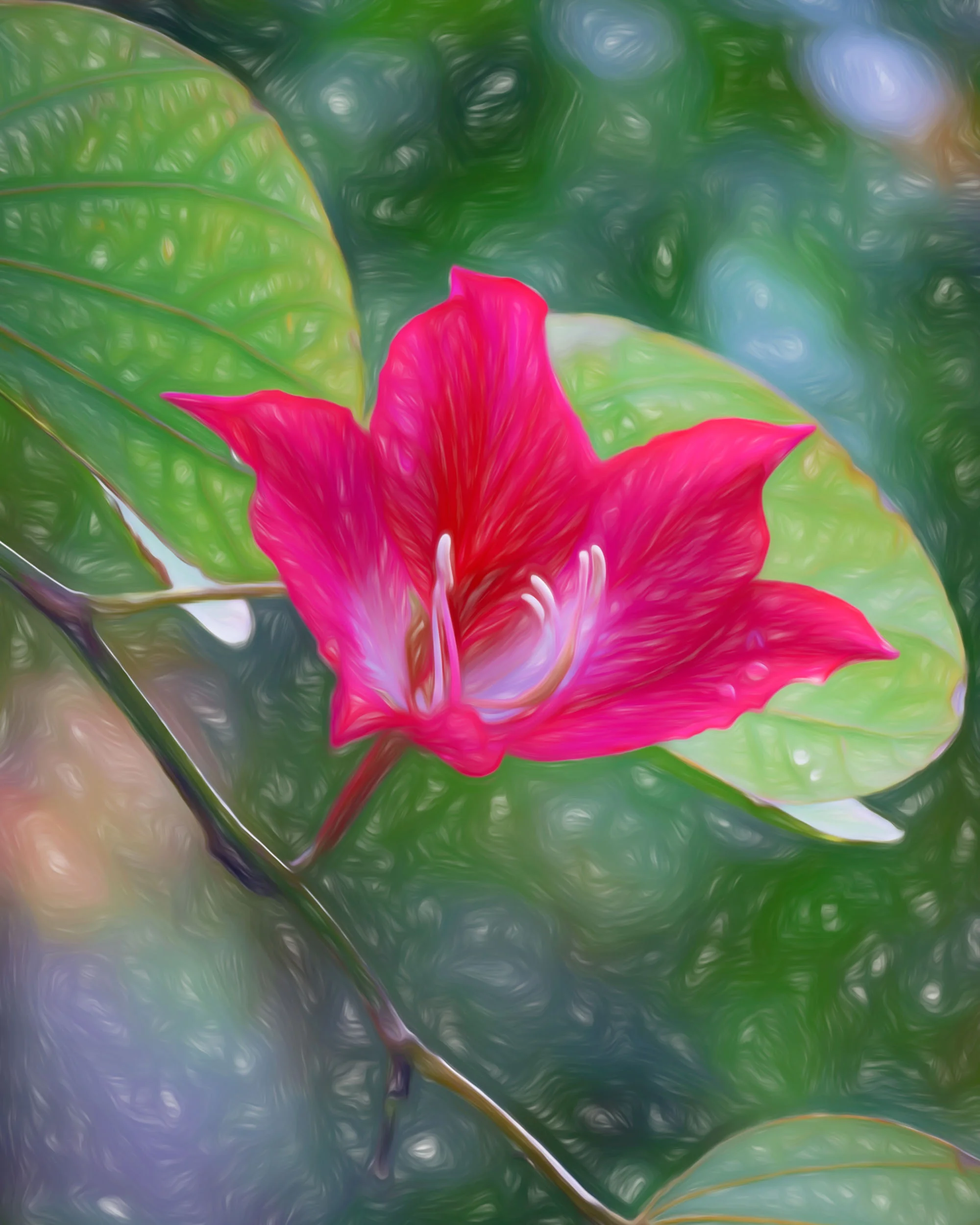Splendid Beauty Portrait