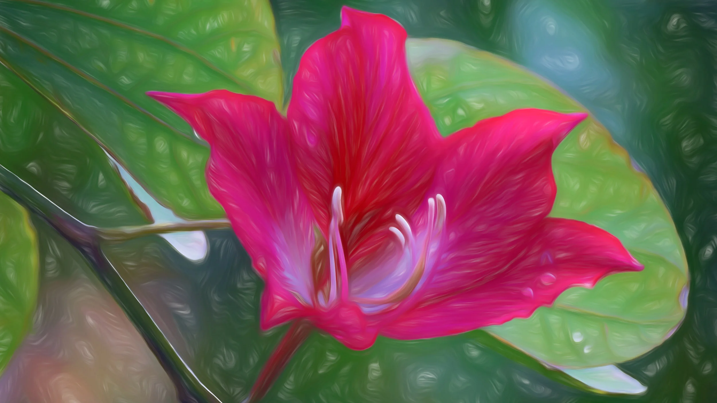 “Splendid Beauty” - Photography Artist Kevin Sibbitt