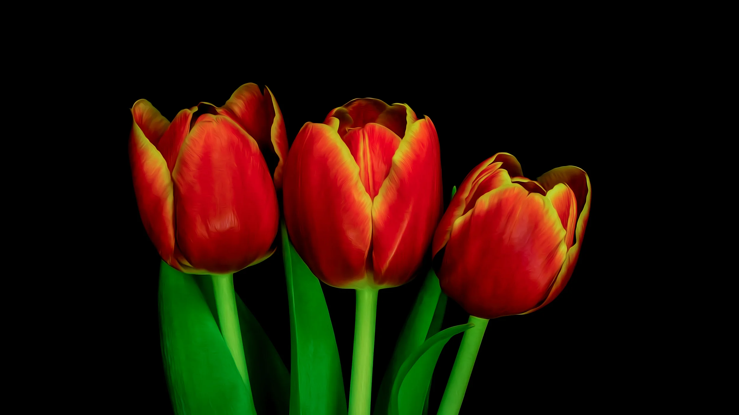 “Form Serves Function” - Photography Artist Kevin Sibbitt