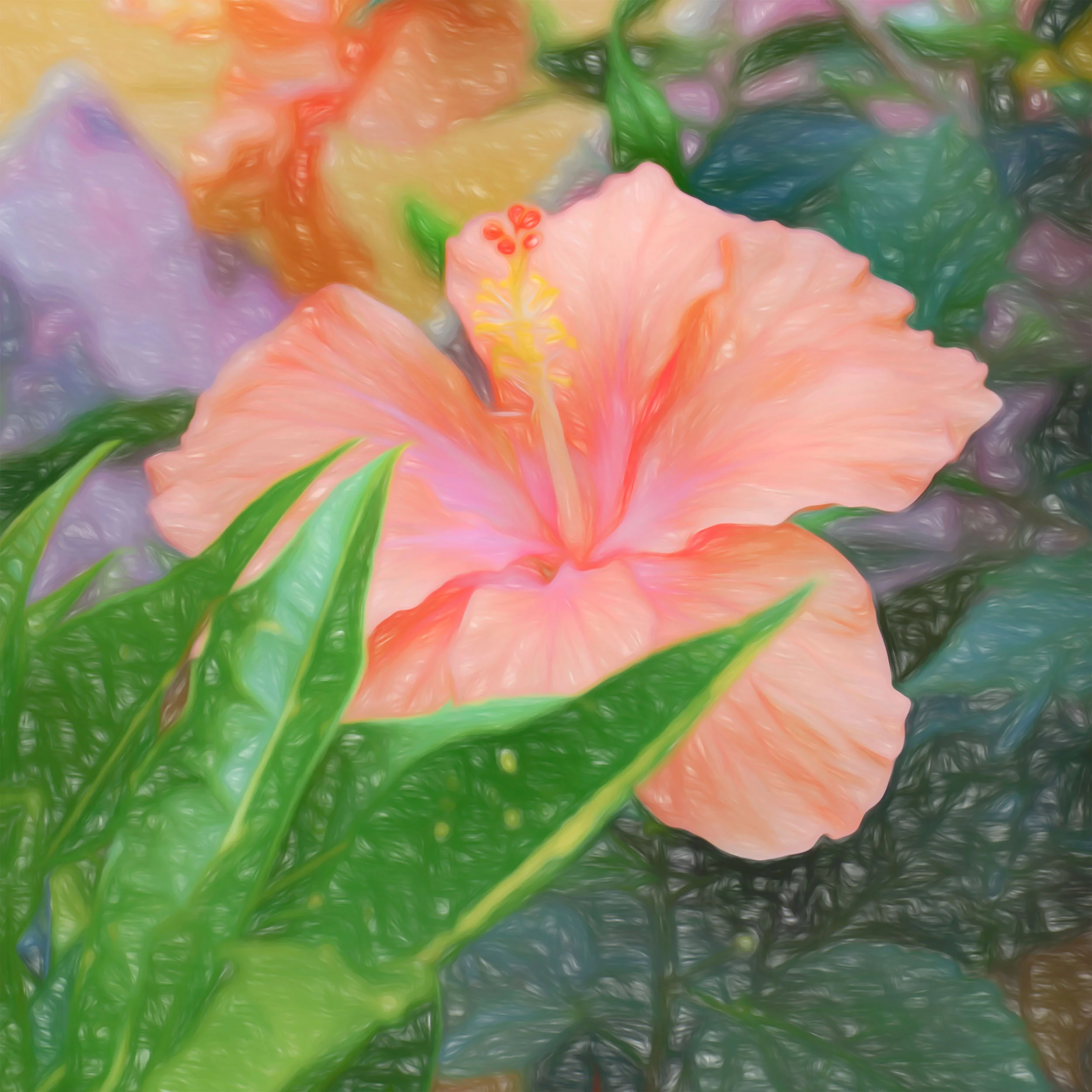 “Peach Hibiscus Squared” - Photography Artist Kevin Sibbitt