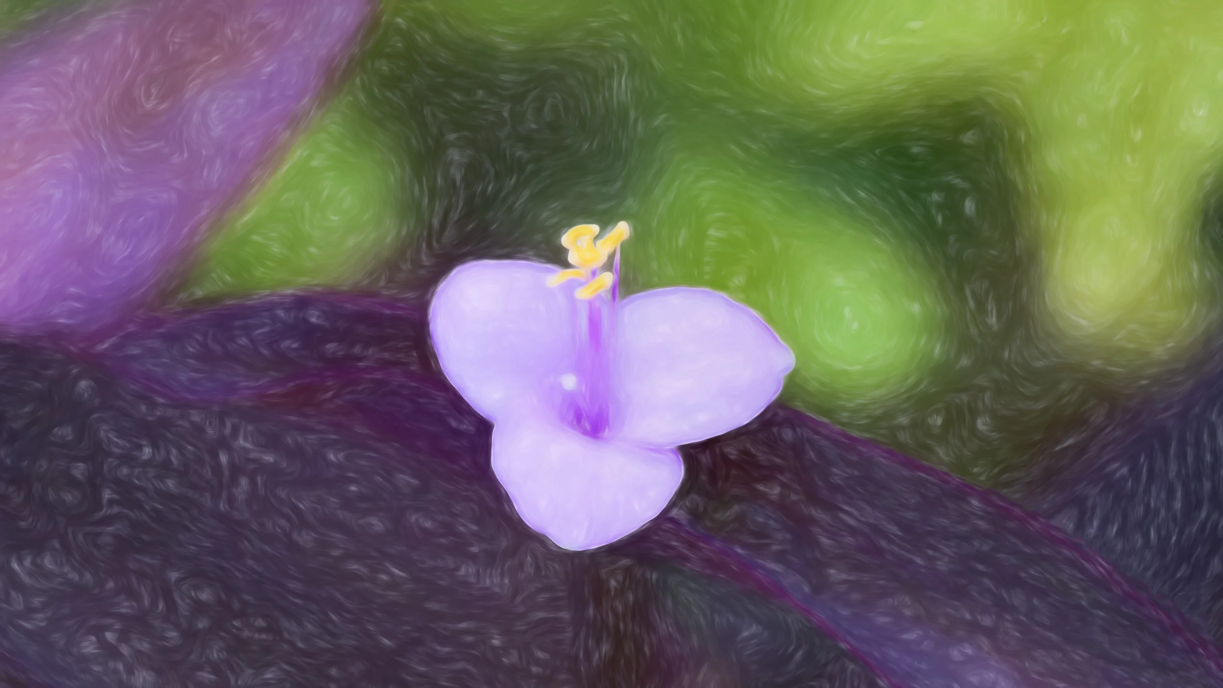 “Purple Heart Bloom” - Photography Artist Kevin Sibbitt