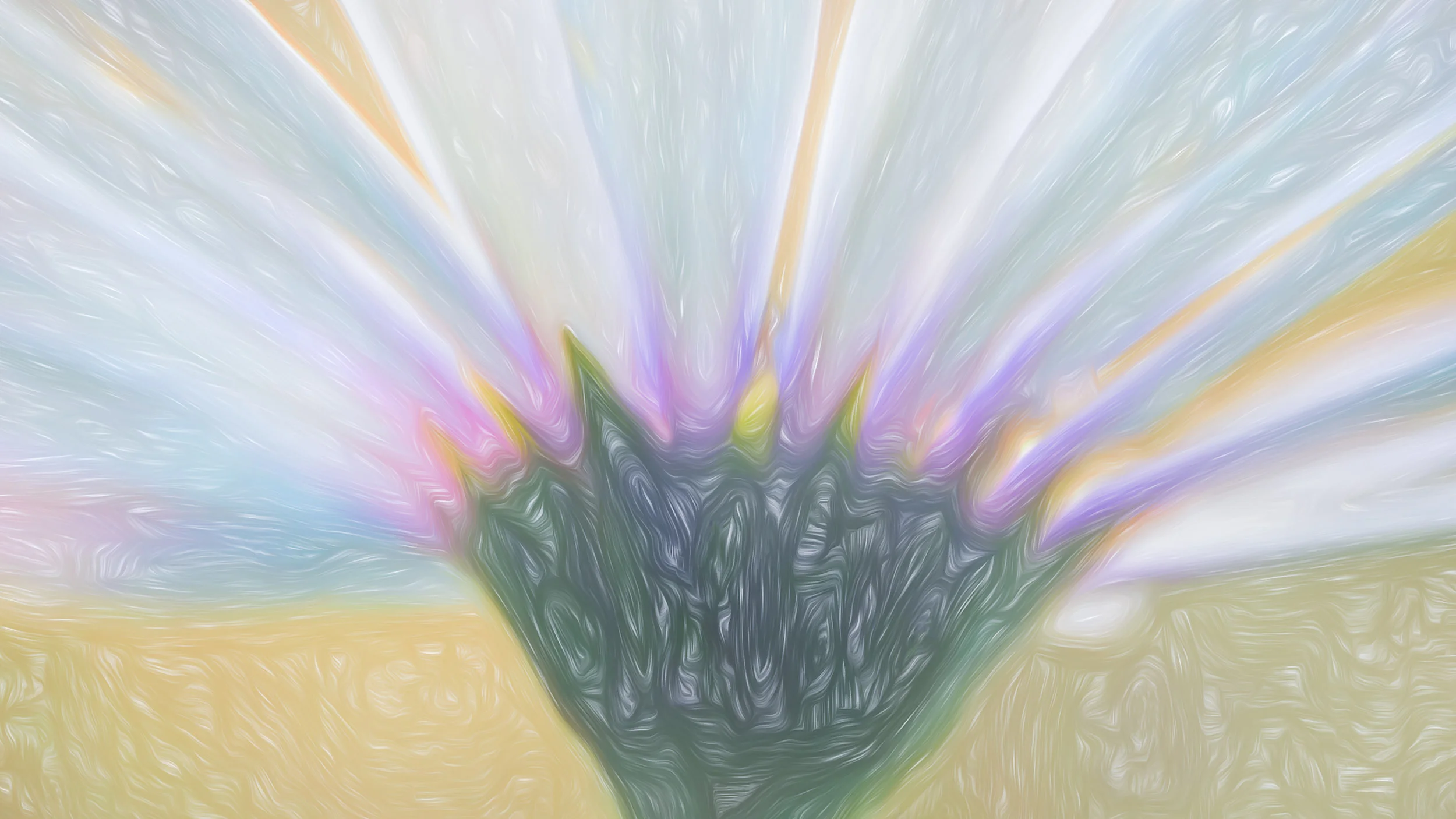 “Light Energy” - Photography Artist Kevin Sibbitt