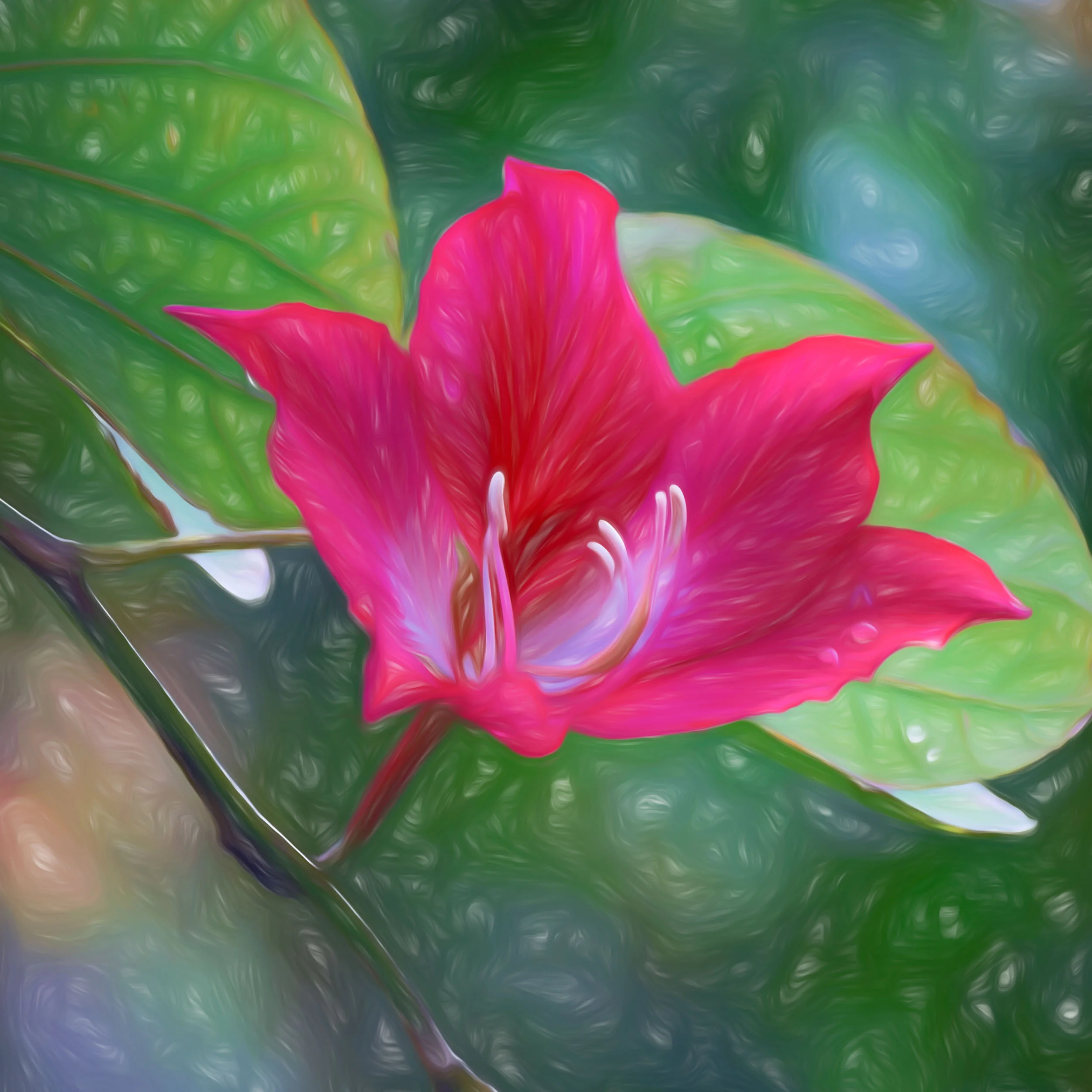 “Splendid Beauty Squared” - Photography Artist Kevin Sibbitt