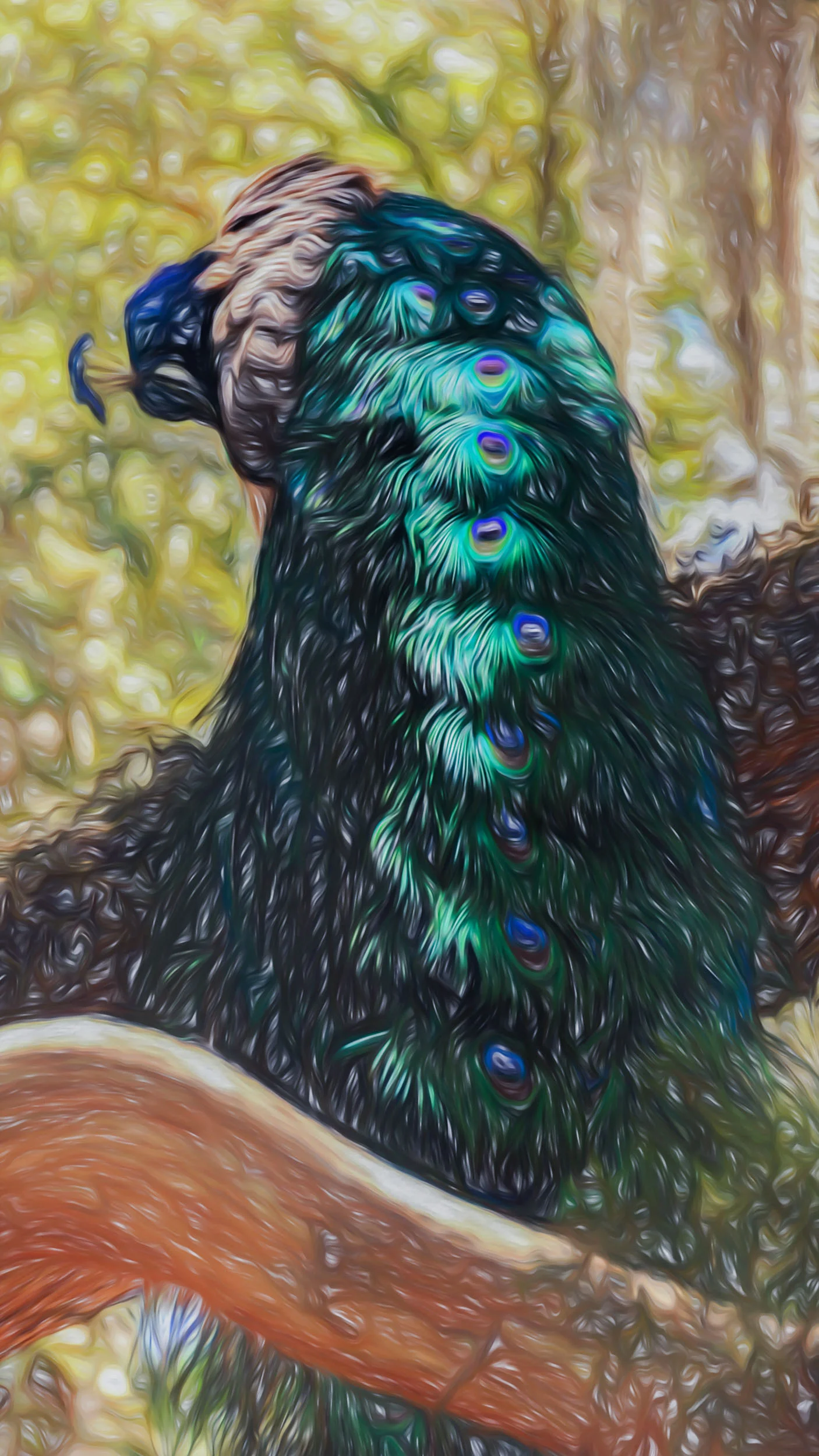 “His Majesty Narrowed” - Photography Artist Kevin Sibbitt