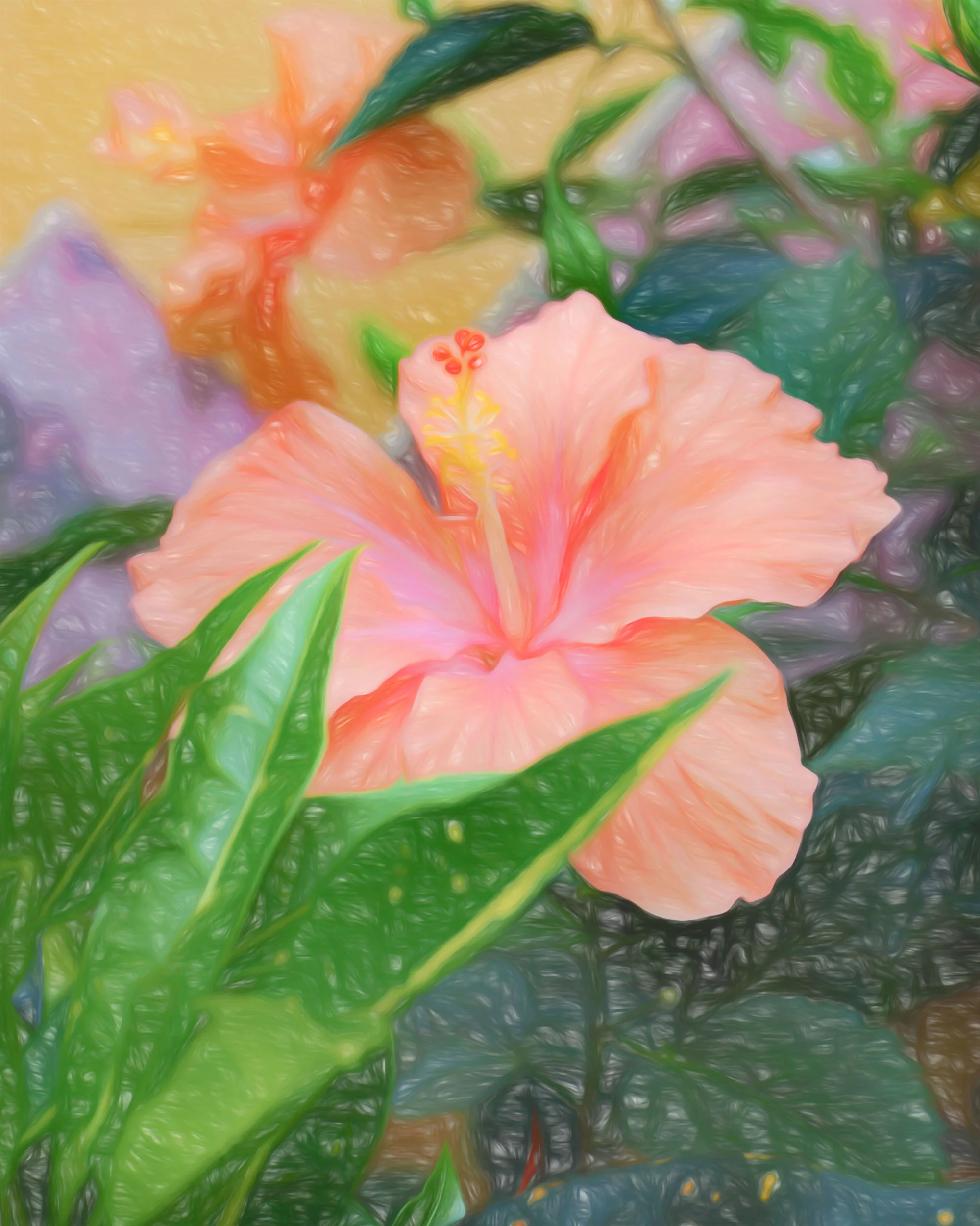 “Peach Hibiscus Portrait” - Photography Artist Kevin Sibbitt