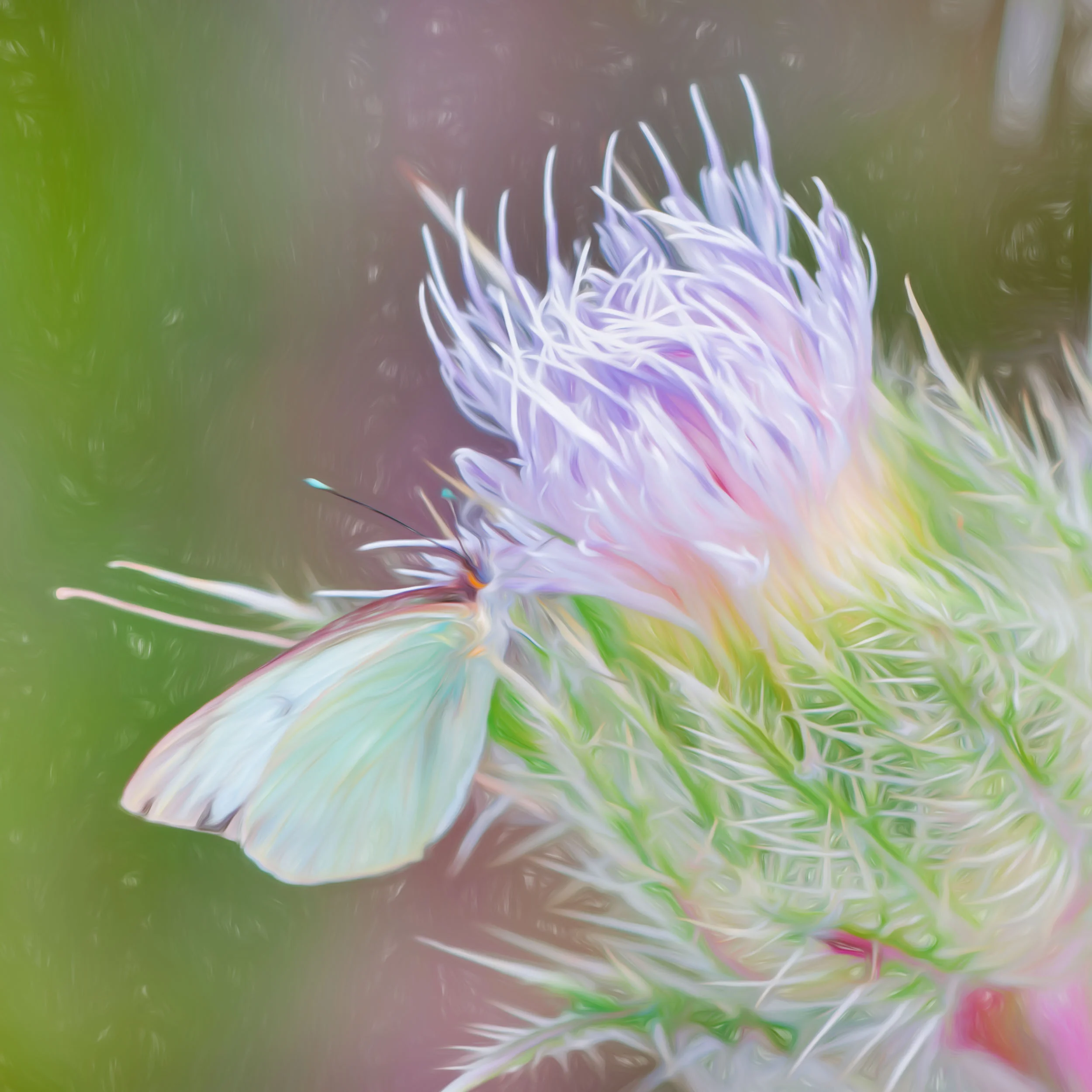 “Reciprocity Squared” - Photography Artist Kevin Sibbitt