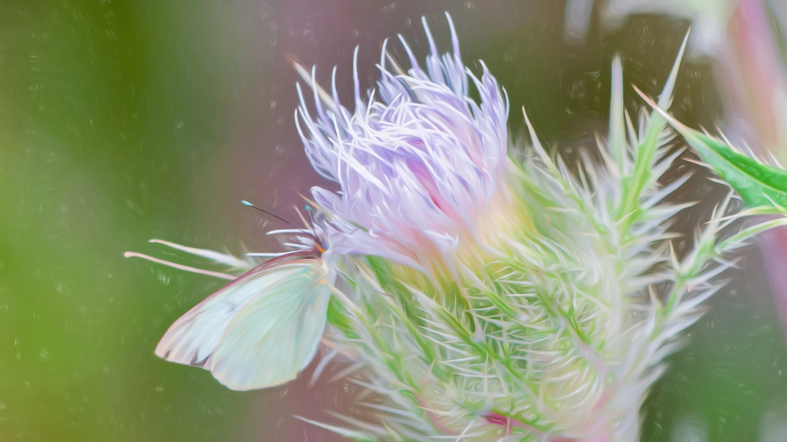 “Reciprocity” - Photography Artist Kevin Sibbitt