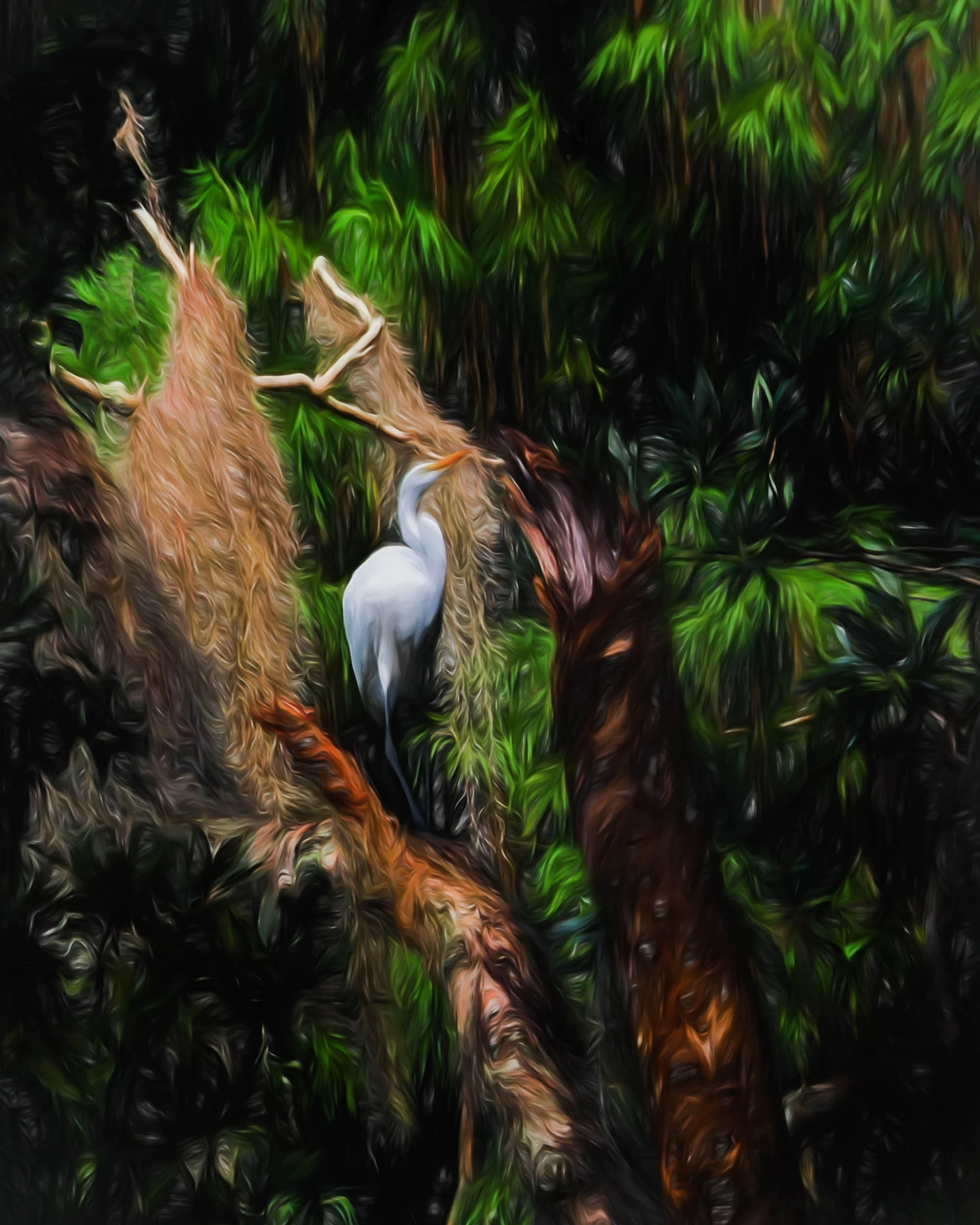 “Nesting Crane Portrait” - Photography Artist Kevin Sibbitt