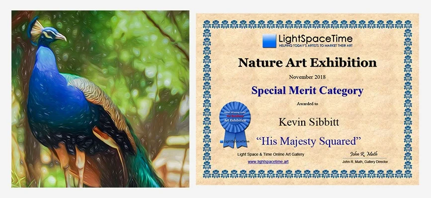 2018 Award Certificate