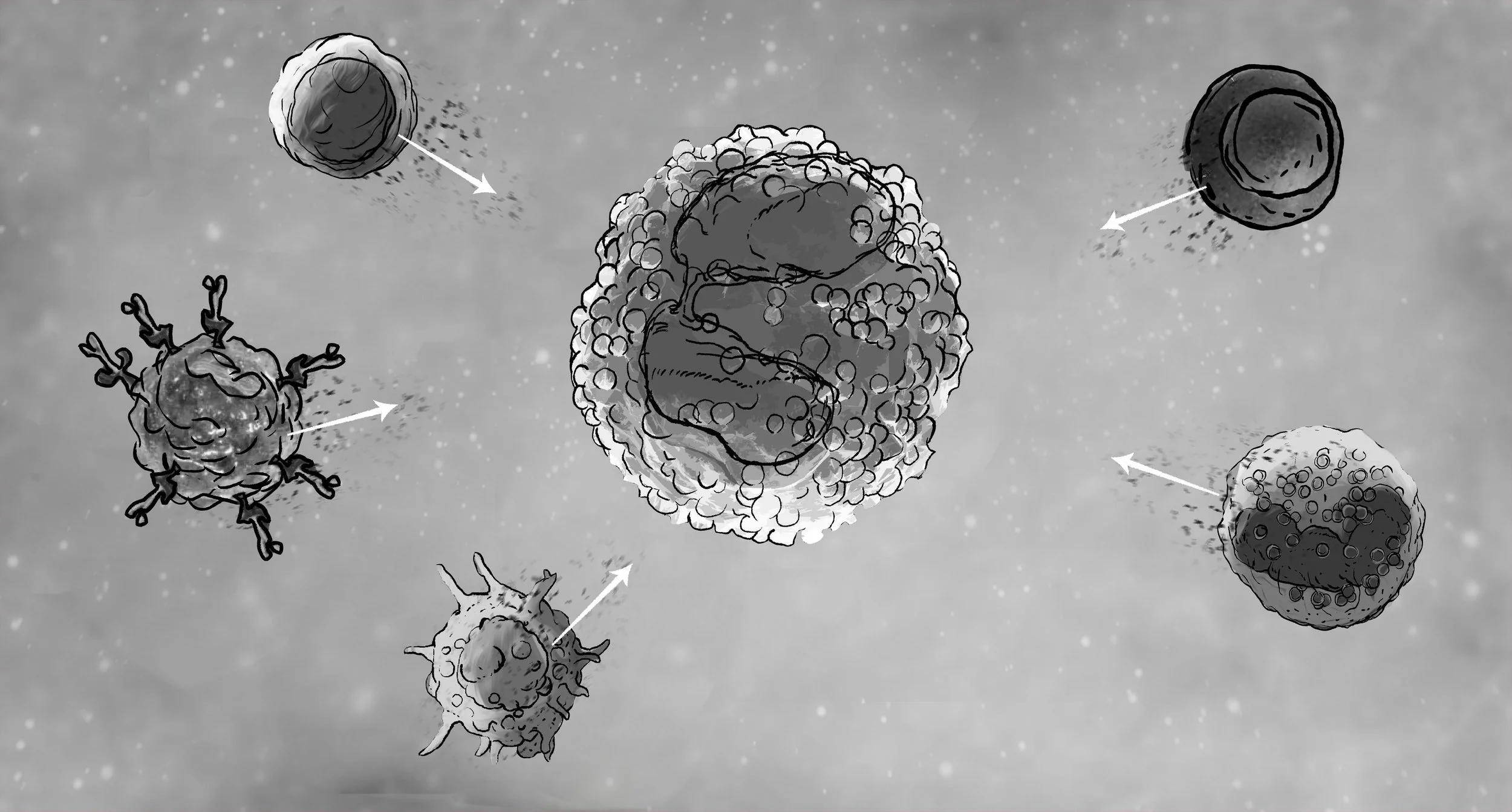 AstraZeneca_2_6.jpg