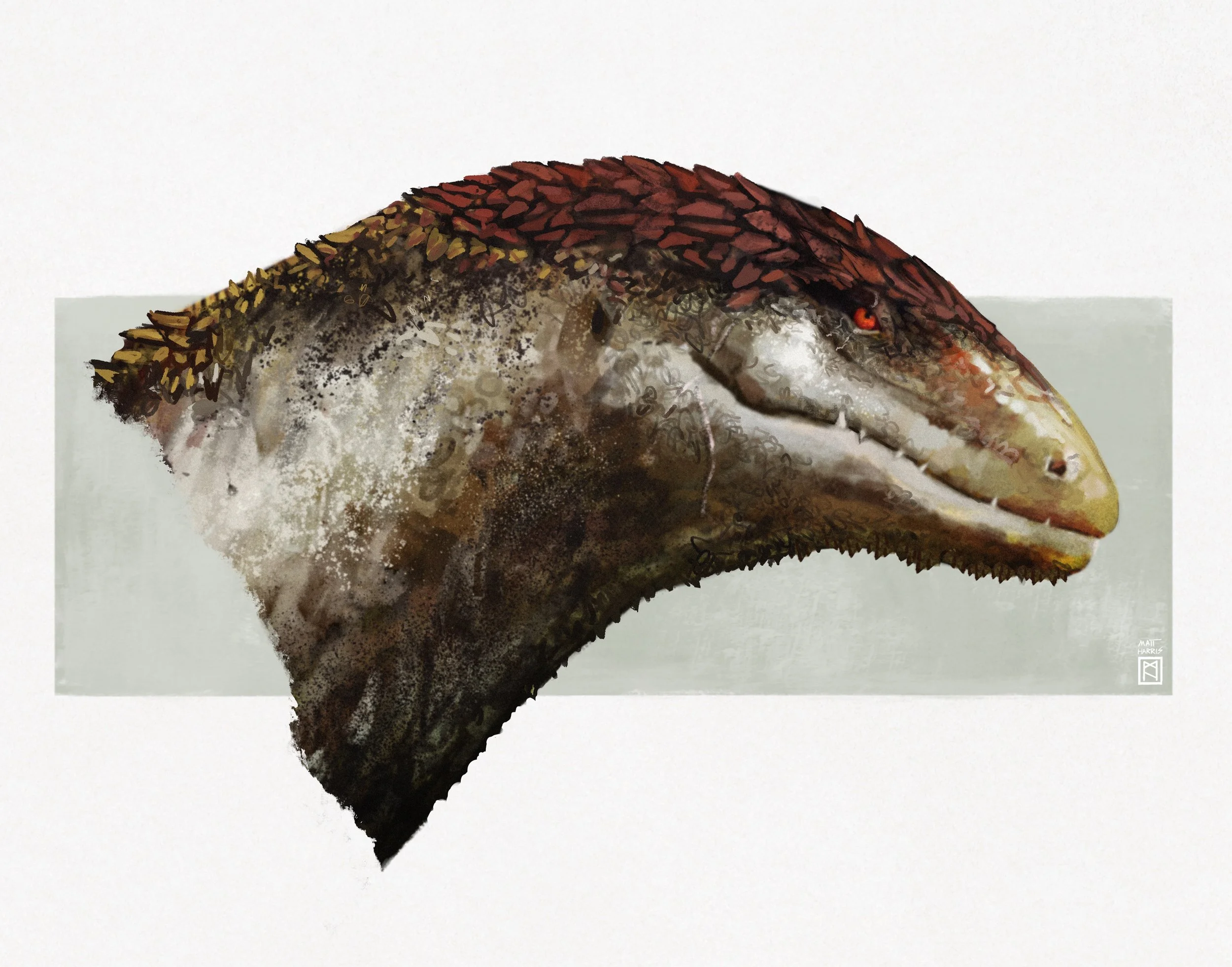 Adult Syhalisan Concept Art