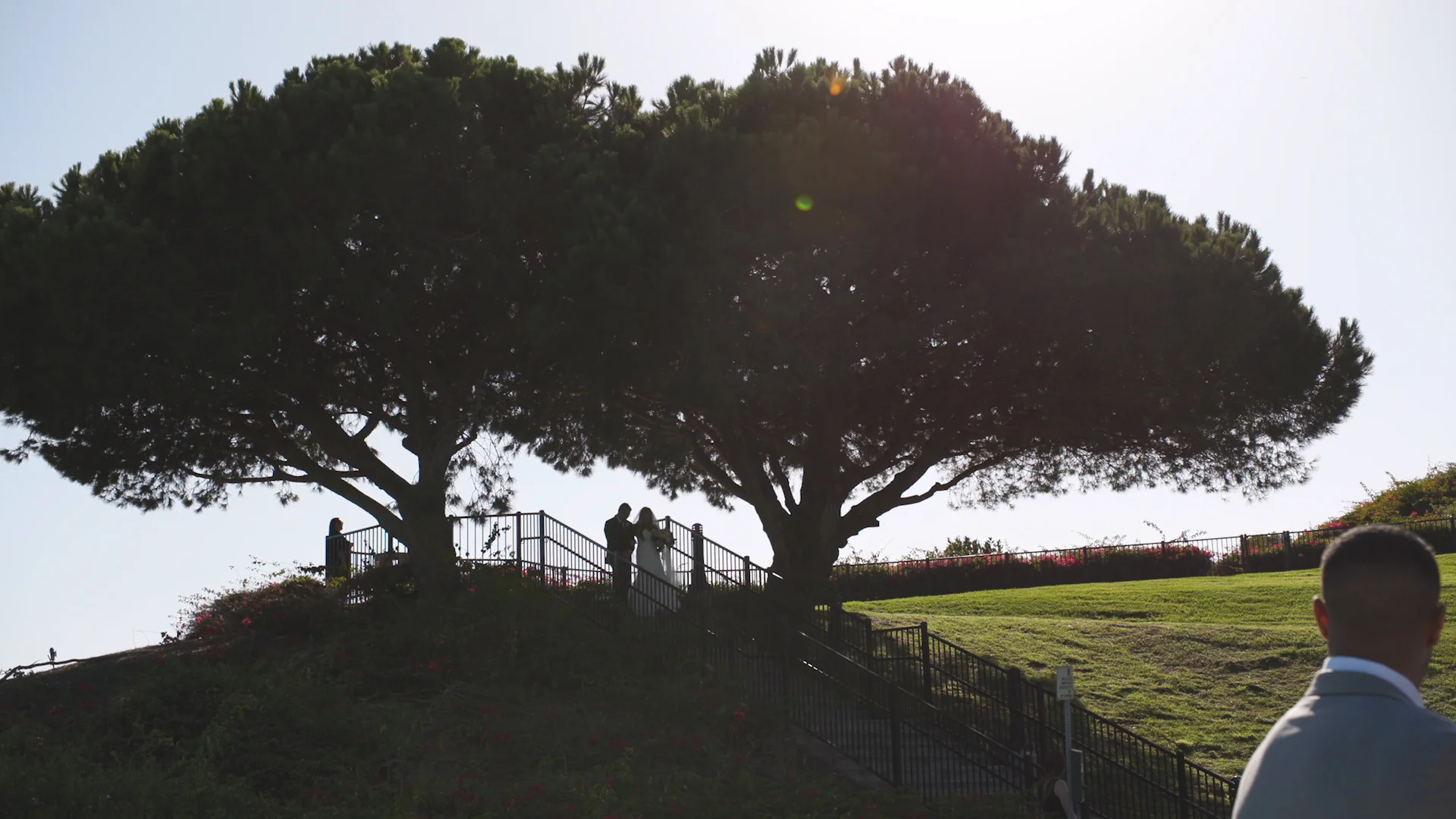 Bride by the Tree0.jpg