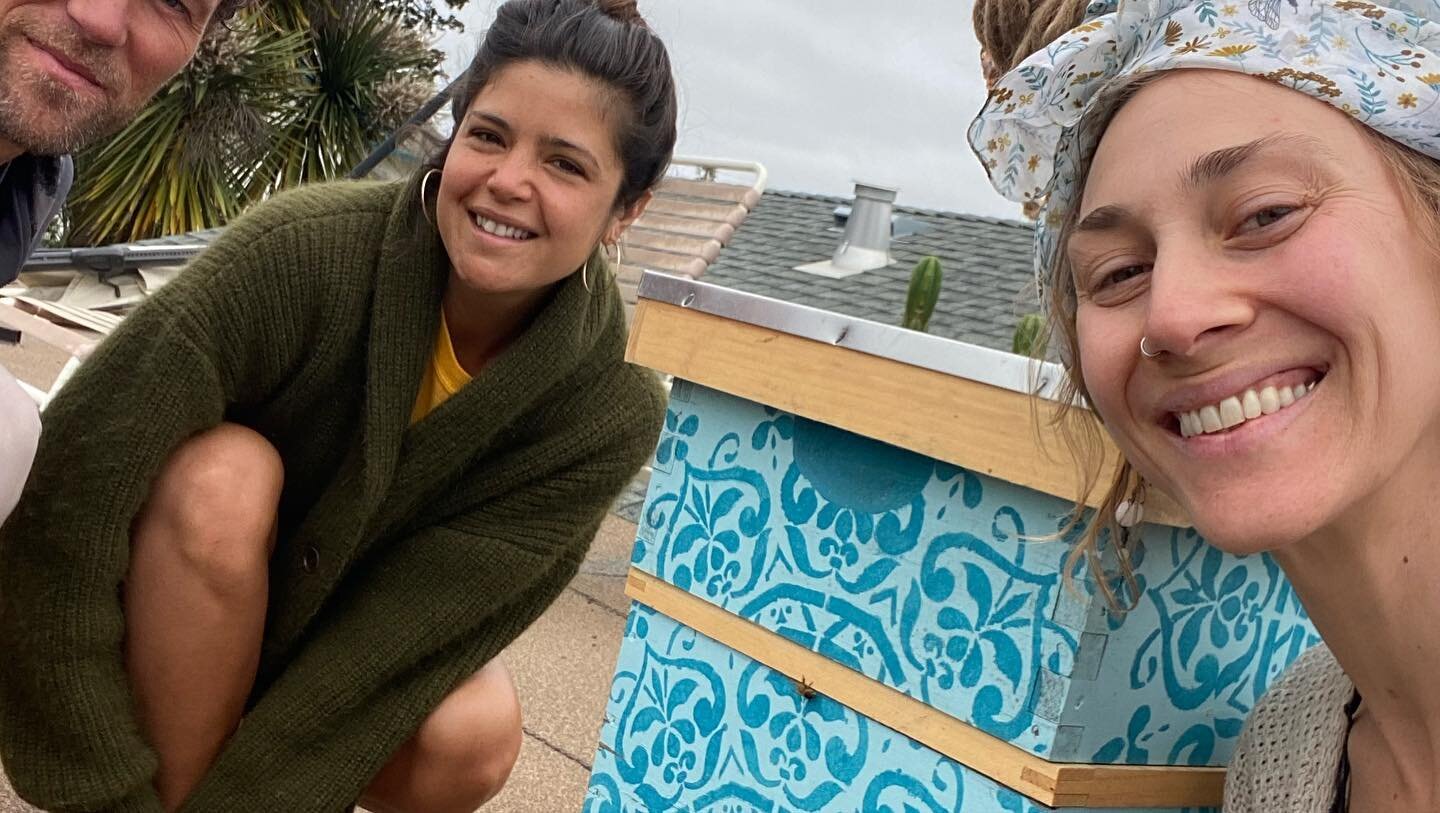 Happy #worldbeeday everyone! I celebrated this morning by installing a swarm colony up on the roof of my friend @thegutsychef 💛🐝✨
.
Not only do our winged friends create incredible products of the hive like honey, beeswax and Propolis&mdash; they a