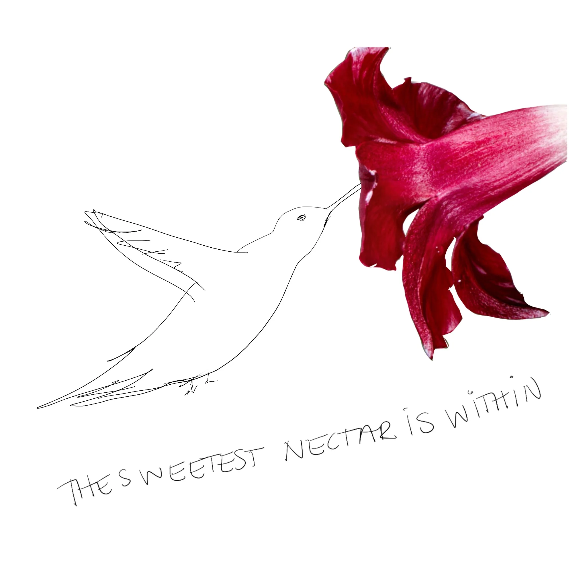 On the Wings of a Hummingbird (or What happened when I went on two shamanic journeys in two weeks)